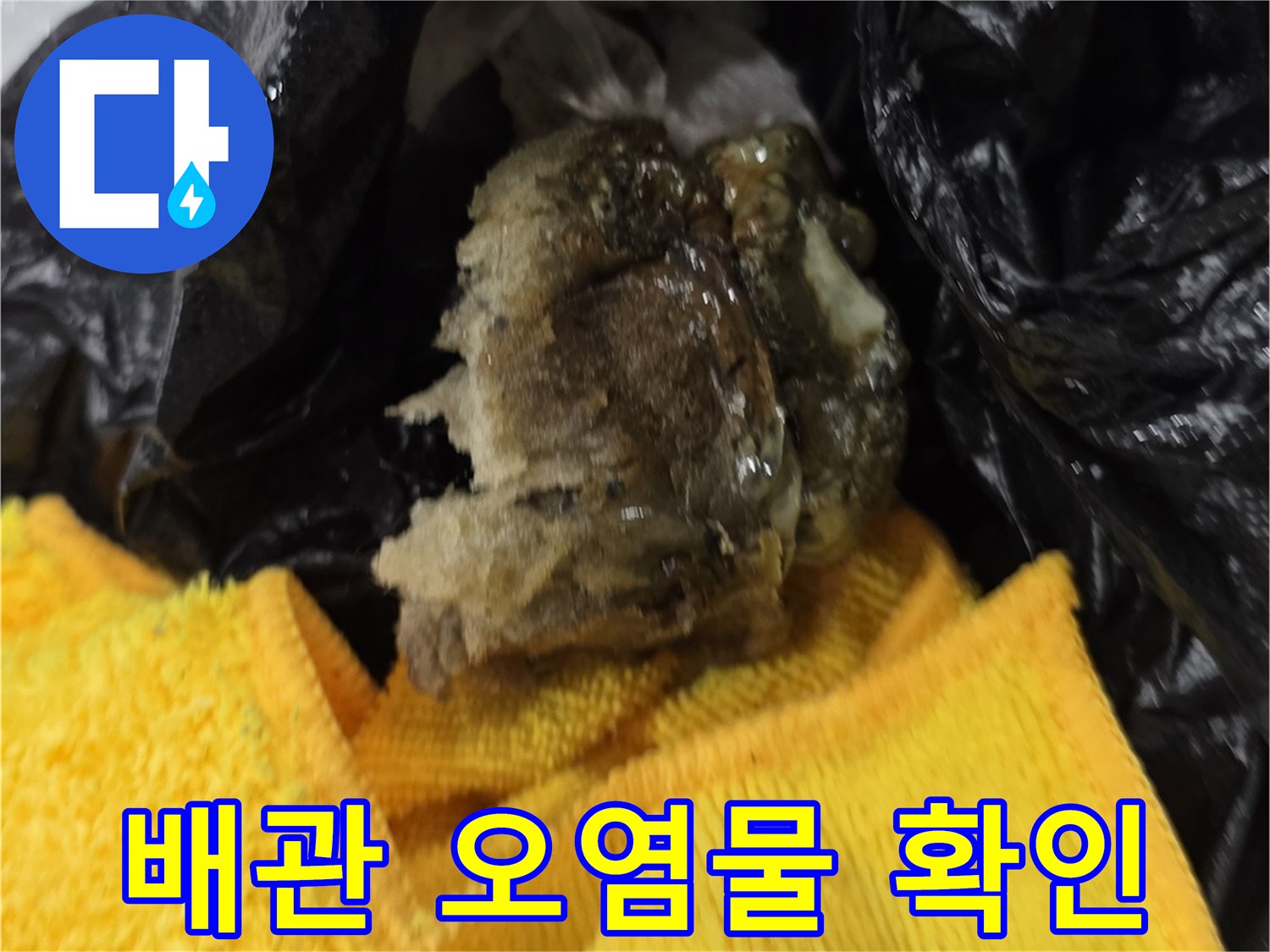 하수구_내부에서_나온-오염된-찌꺼기