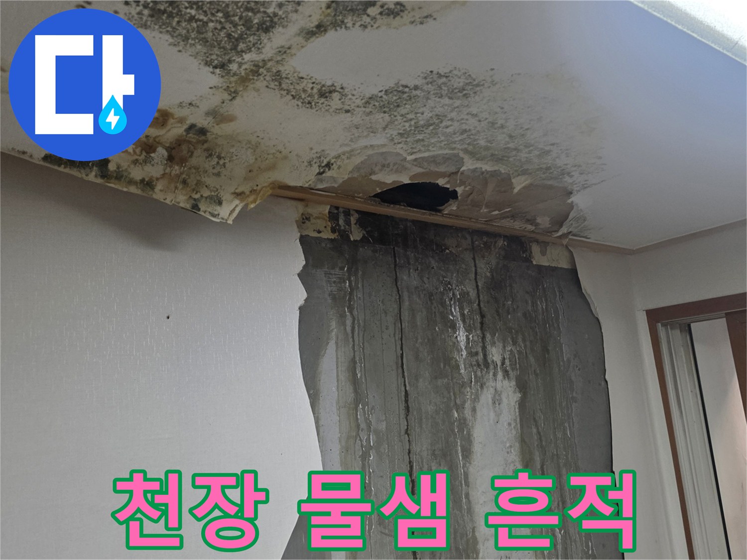 천장-벽지-곰팡이-및-누수-얼룩-상태