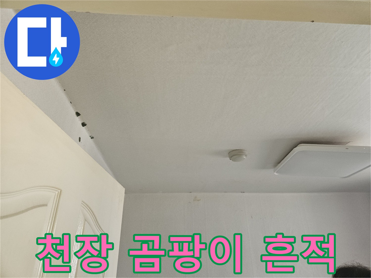 천장 모서리 부분-도배지 곰팡이 및 누수 흔적