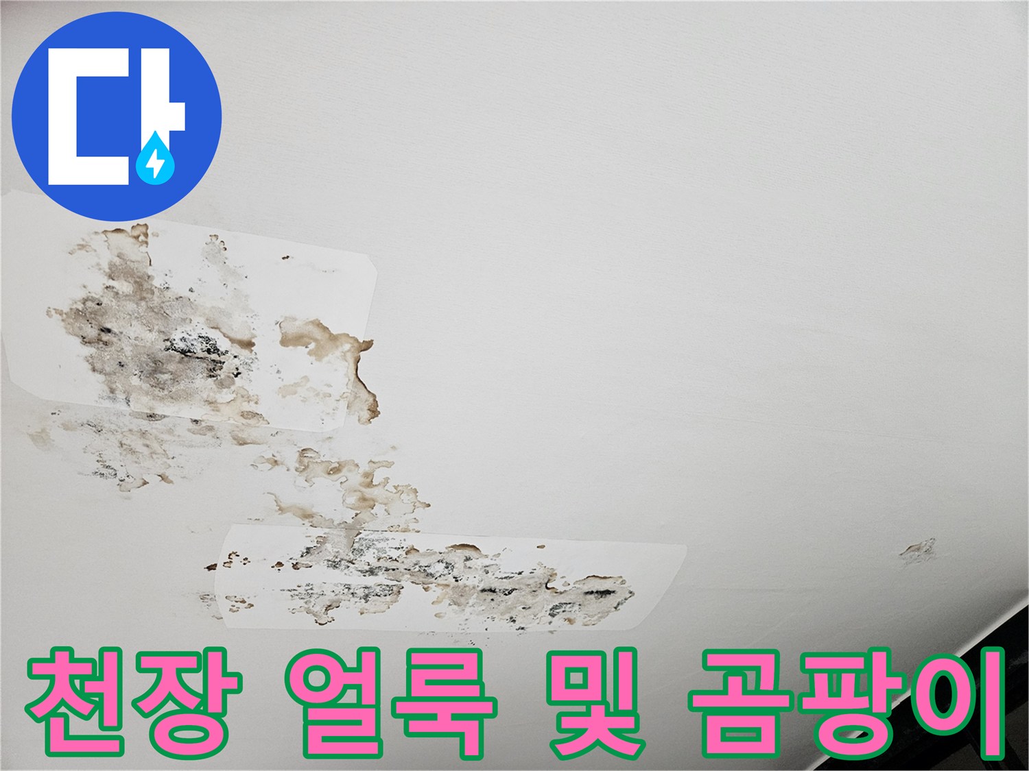 물샘-증상이-나타난-천장-벽지_오염부위