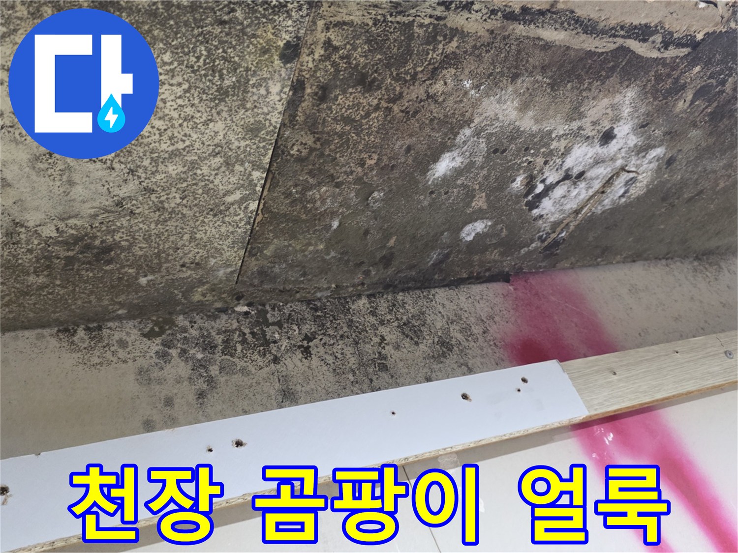 물샘 현상으로 인해 오염된 주방 천장 마감재