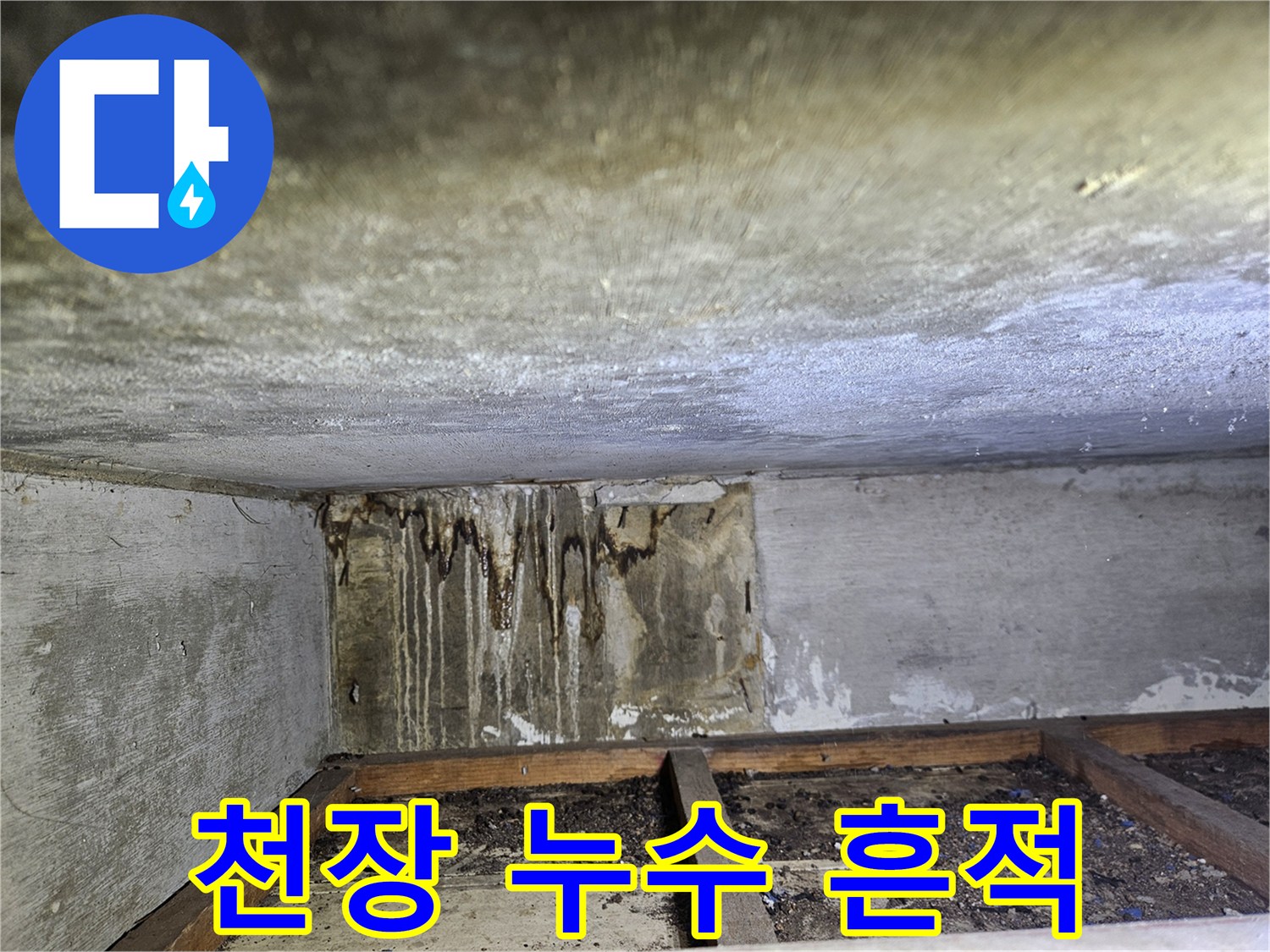 일산동구-상가-천장-누수-흔적이-남은-현장-모습