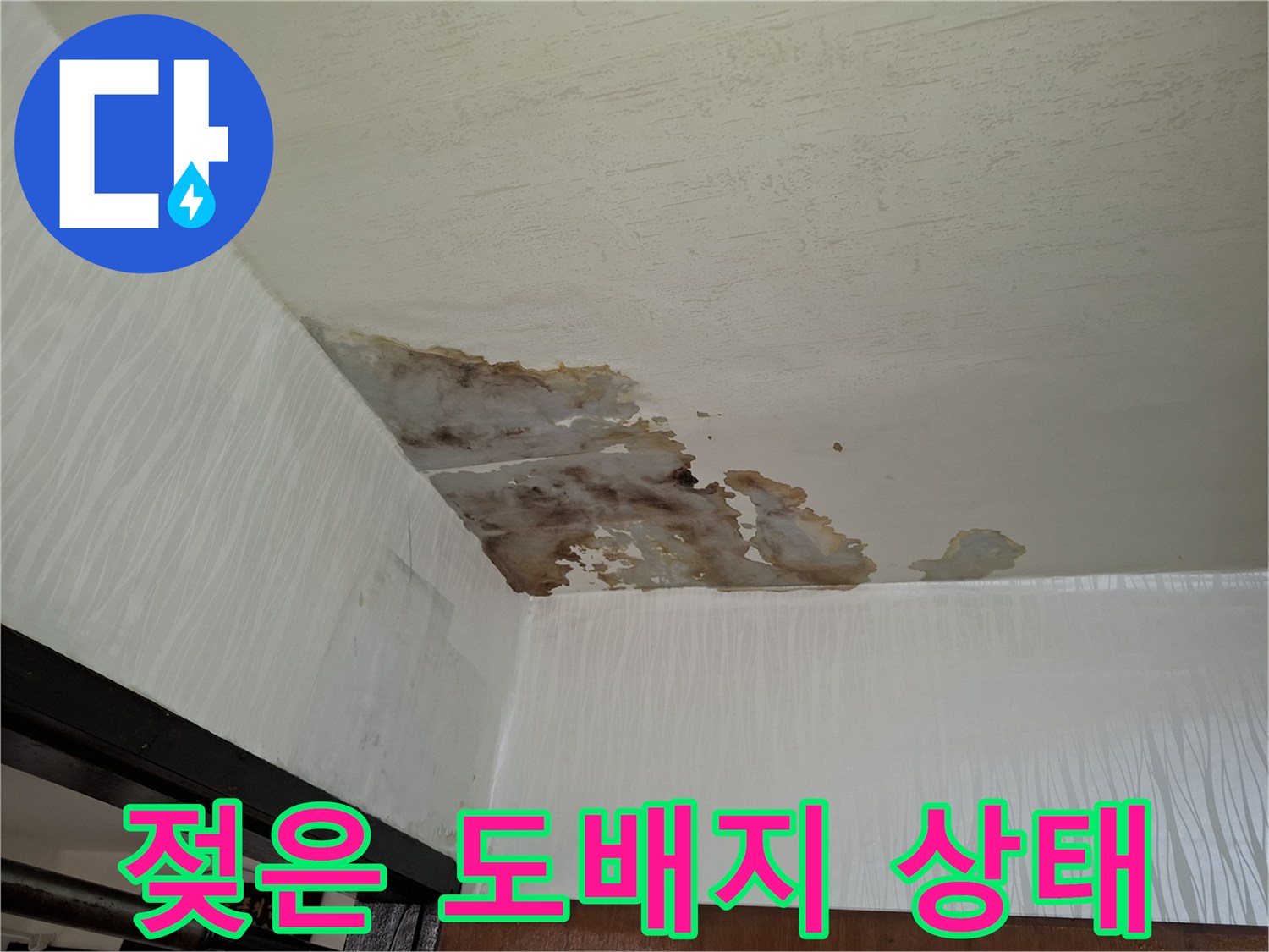 천장 벽지가 젖어 들뜬 모습 - 누수 확인
