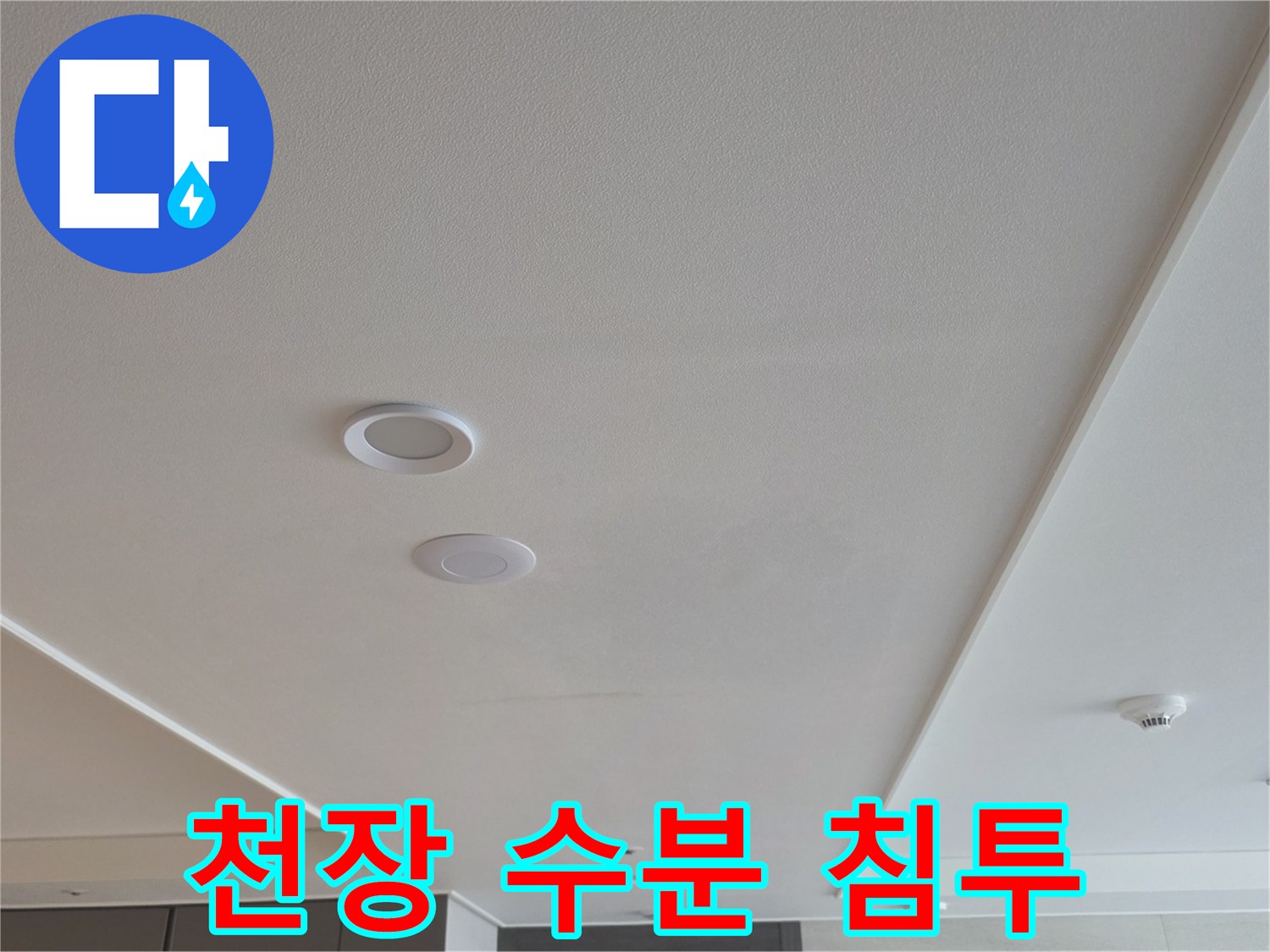 습기로 인해 변색된 천장 마감재