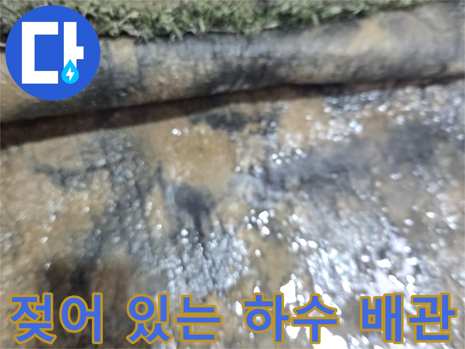 물이 고여 있는 배관 주변-하수 배관 누수 점검