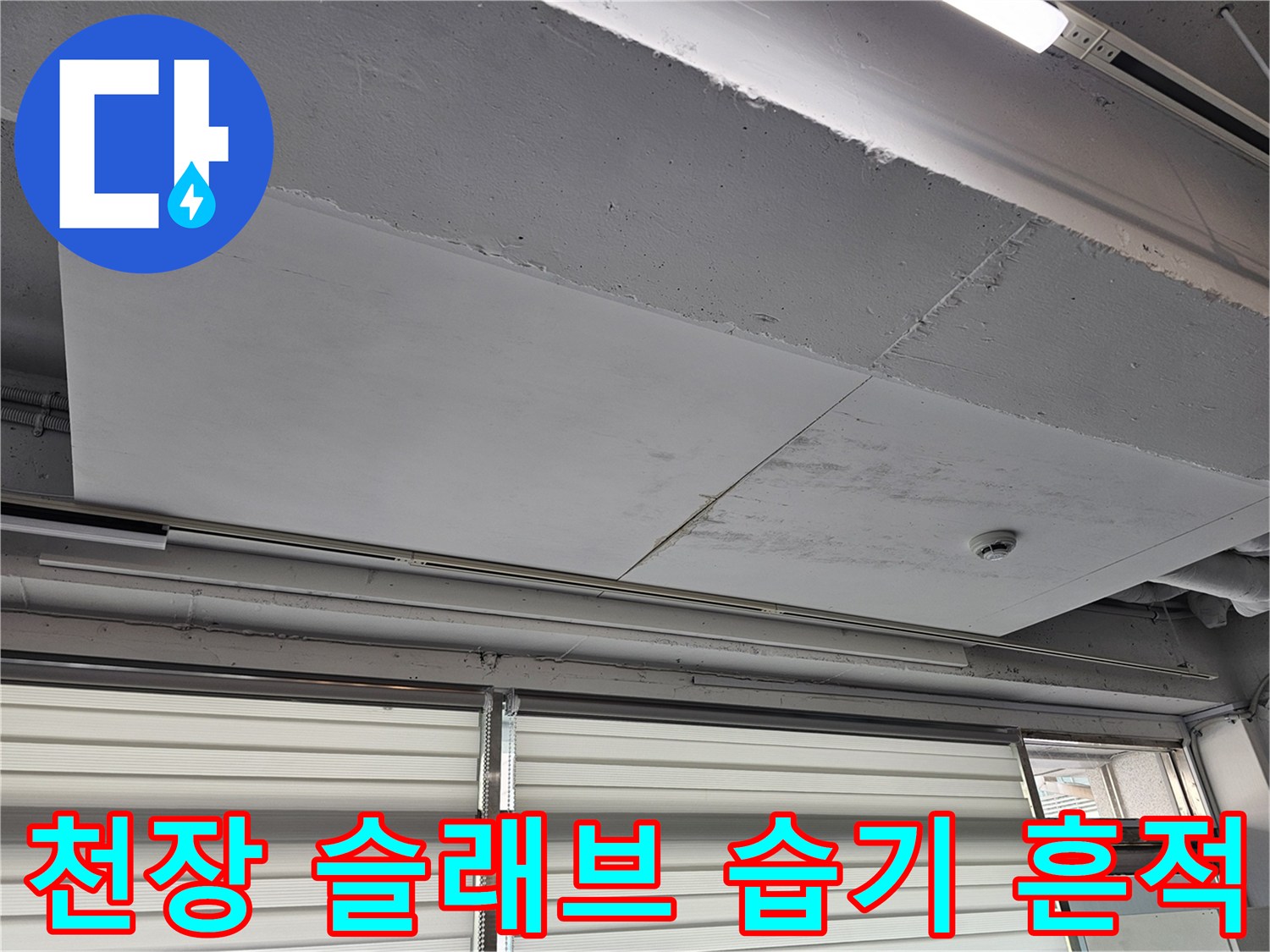 일산동구 현장-천장 슬래브의 습기 오염 상태