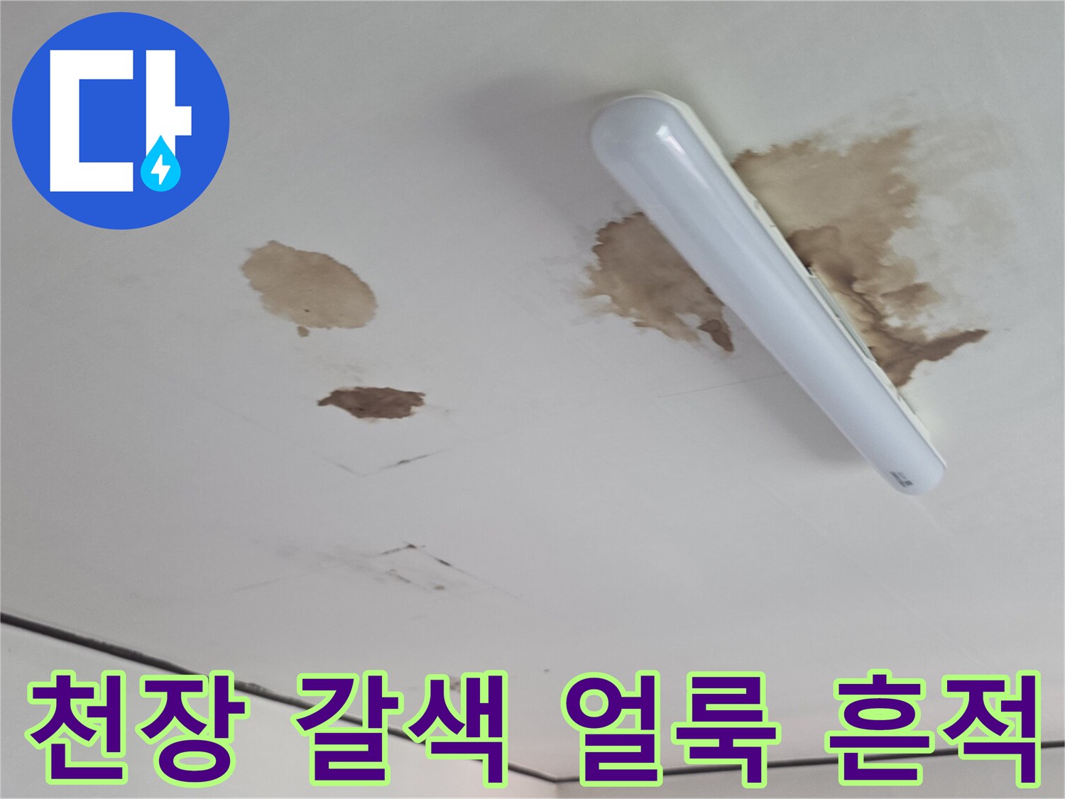 천장 조명 기구 주변의 심한 물 번짐과 변색