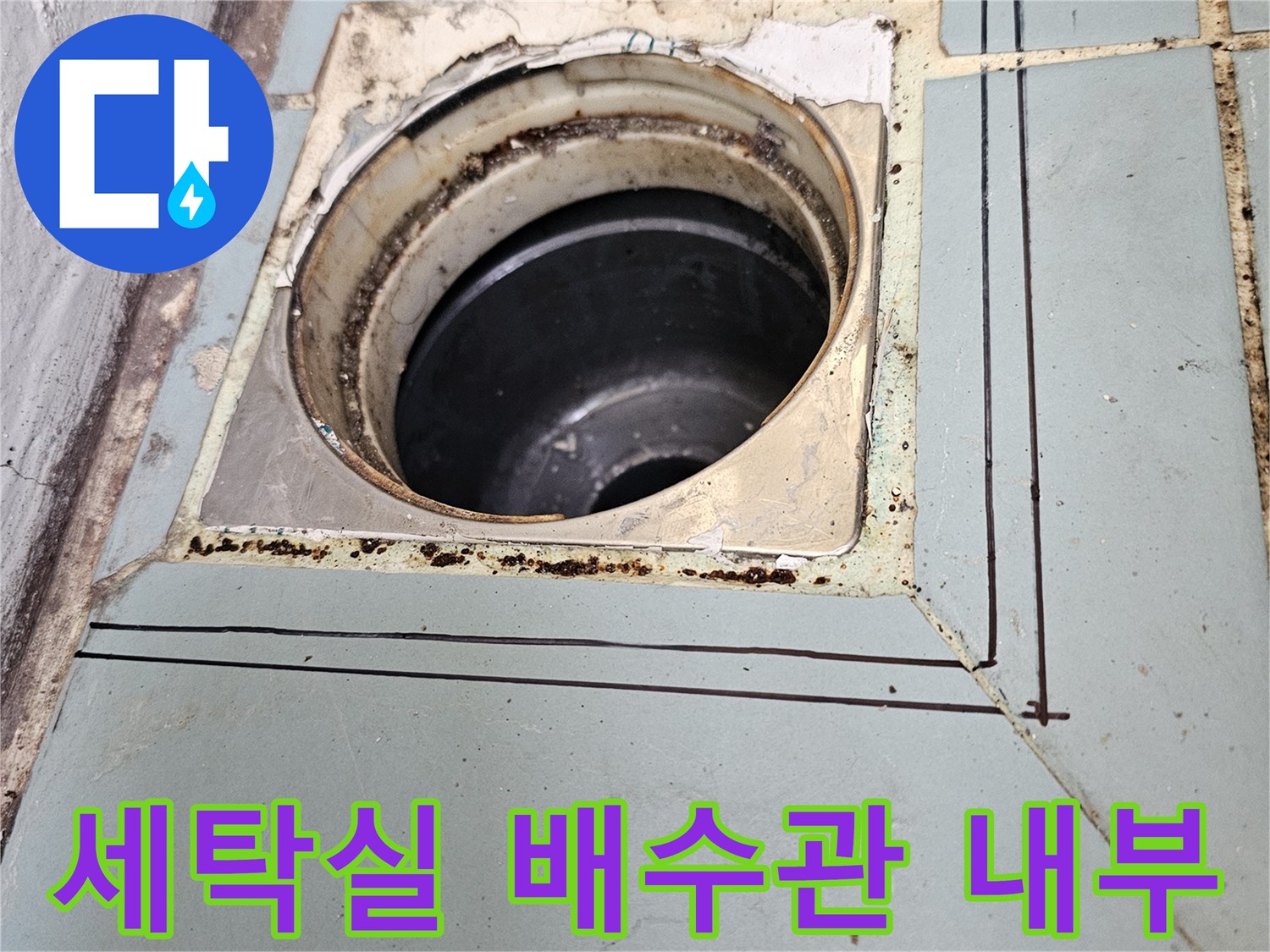 세탁실-배수구-내부-배관-상태-확인