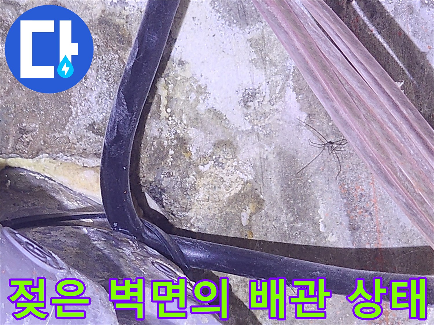 배관 주변의 습기 찬 콘크리트 표면