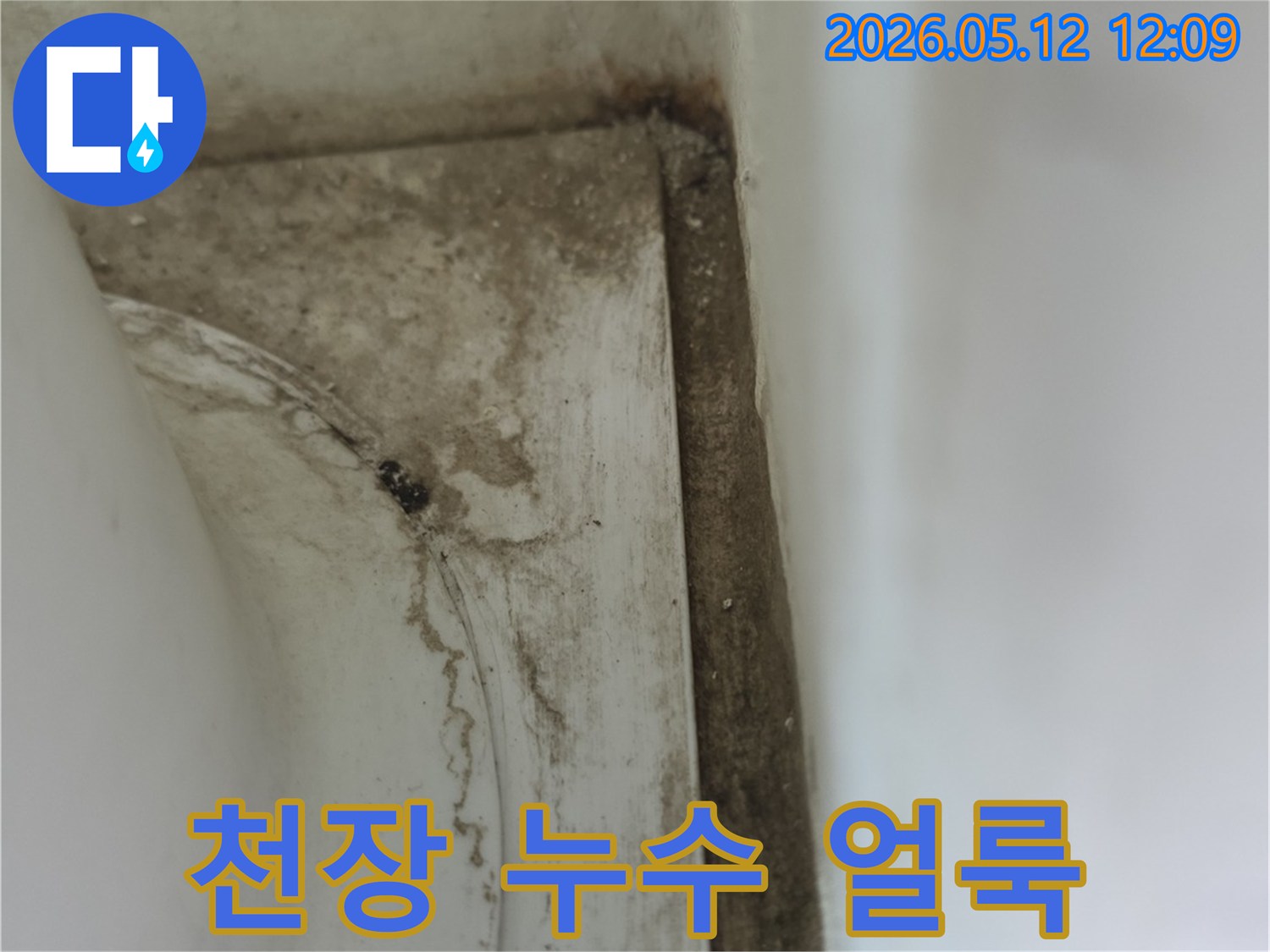 욕실-천장-모서리에-발생한-오래된-물얼룩과-곰팡이-자국으로-인한-손상