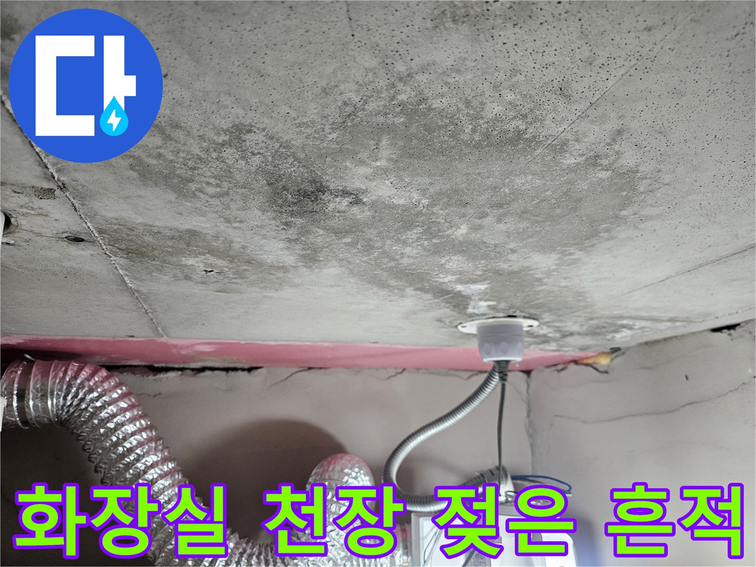 배관 주변에 발생한 화장실 천장 슬래브의 곰팡이와 습기