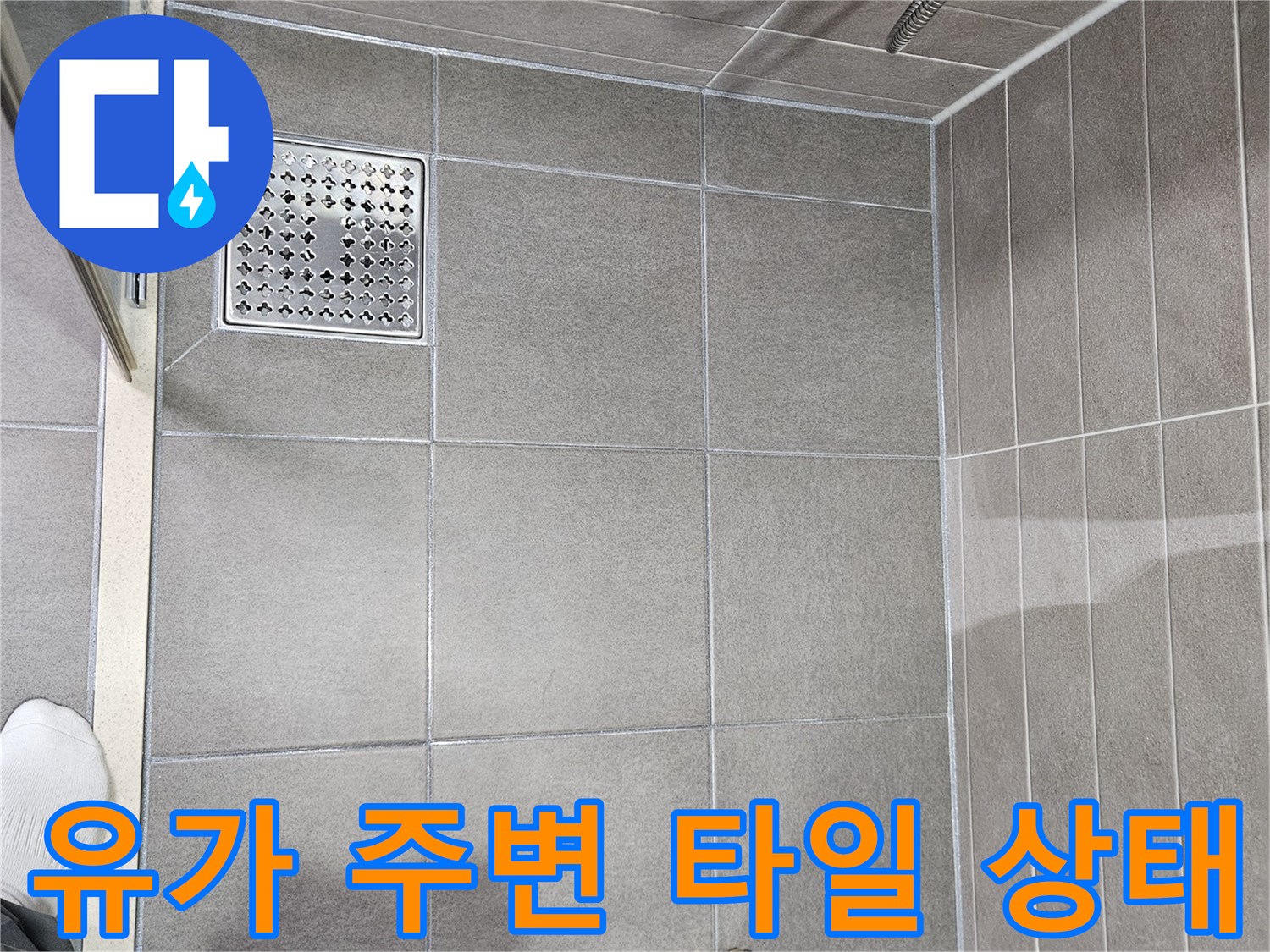 서산-성극-화장실-배수구-유가-주변-타일-틈새-조사
