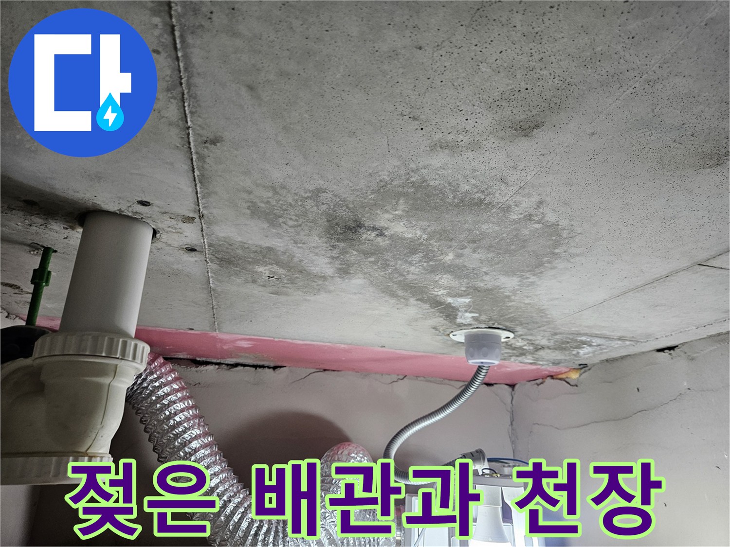 콘크리트 천장의 습기 및 곰팡이 오염 부위