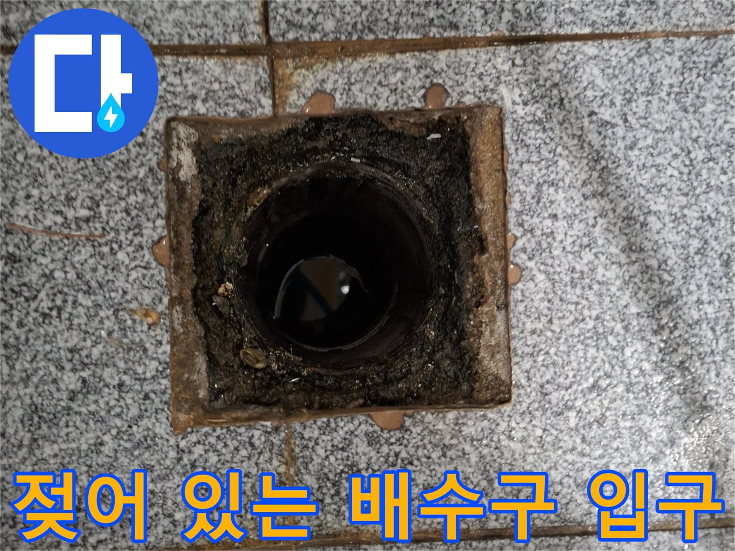 습기가-가득한-화장실-배수구-입구-클로즈업