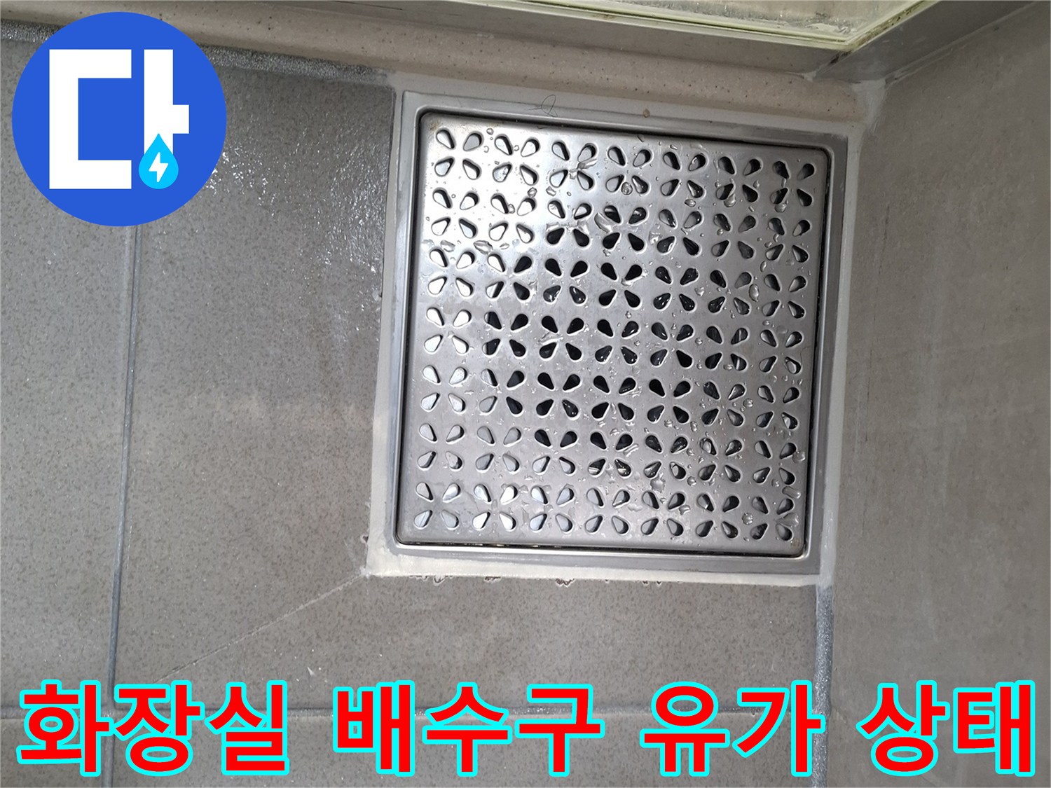 용인 기흥구 화장실-배수구 유가 부근 점검 사진