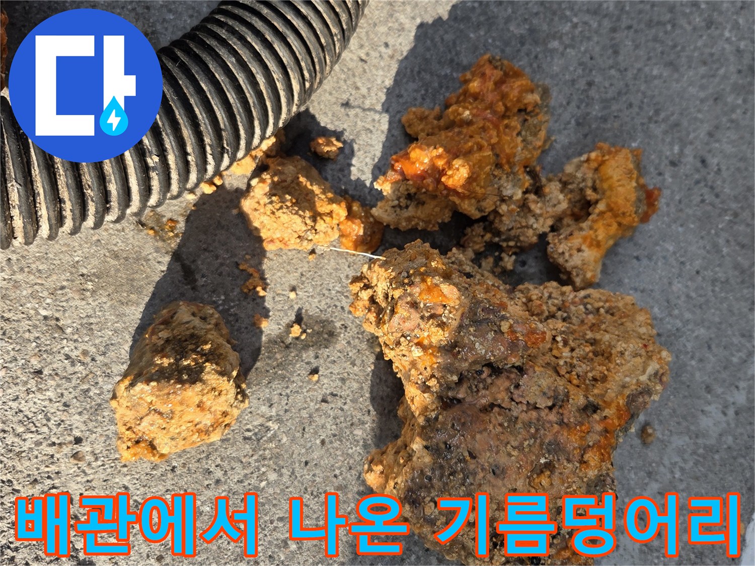 맨홀 작업 중-발견된 거대한 유지방 덩어리들