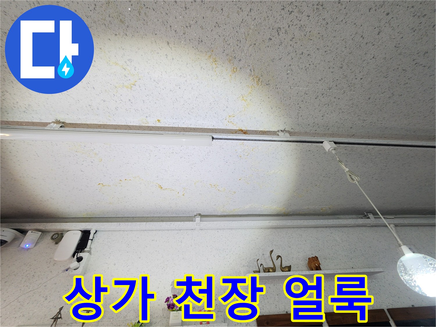 강서구-상가-천장-누수-흔적-사진