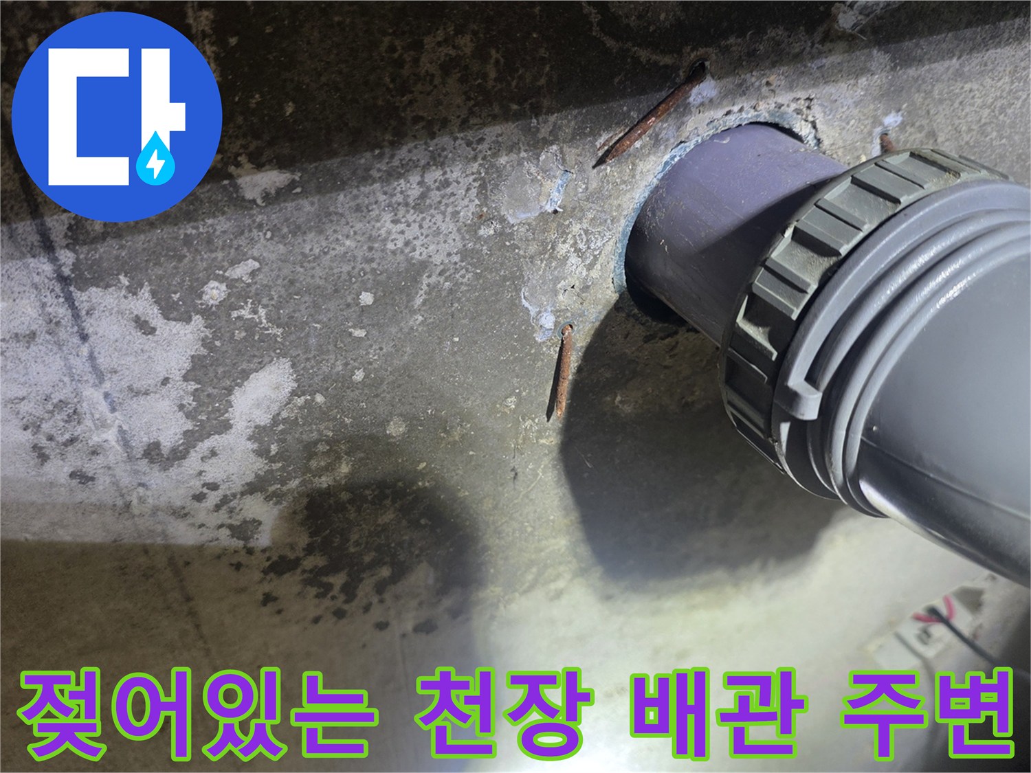 하수-배관-연결부-주변의-심한-습기-흔적