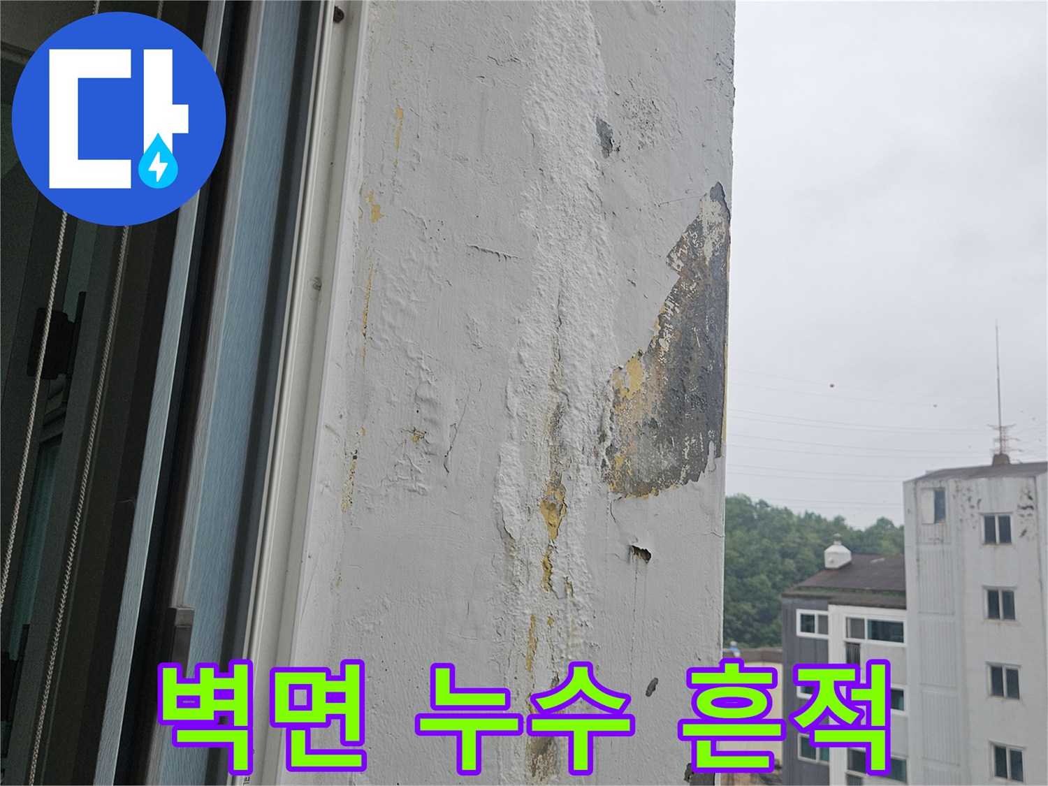 물기에-젖은-벽면-상단부-오염-상태