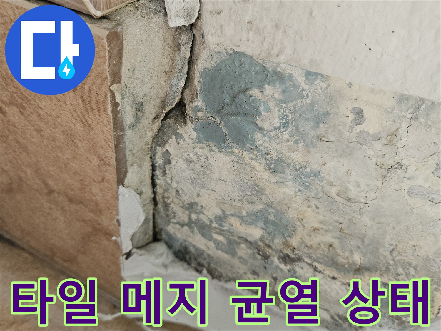 습기에-의해-검게-변한-타일-줄눈-부위