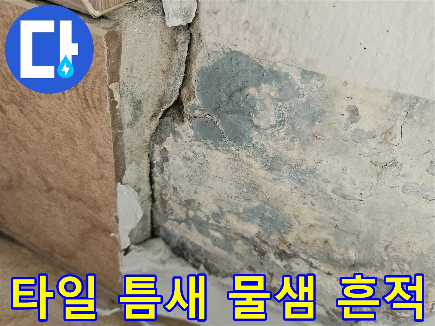 타일-경계-부위의-심한-습기-및-곰팡이-오염