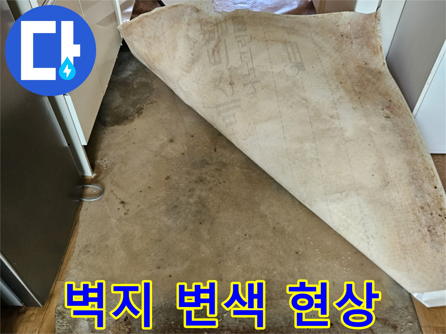 누수로 인한-벽지 오염 및 곰팡이 발생 부위