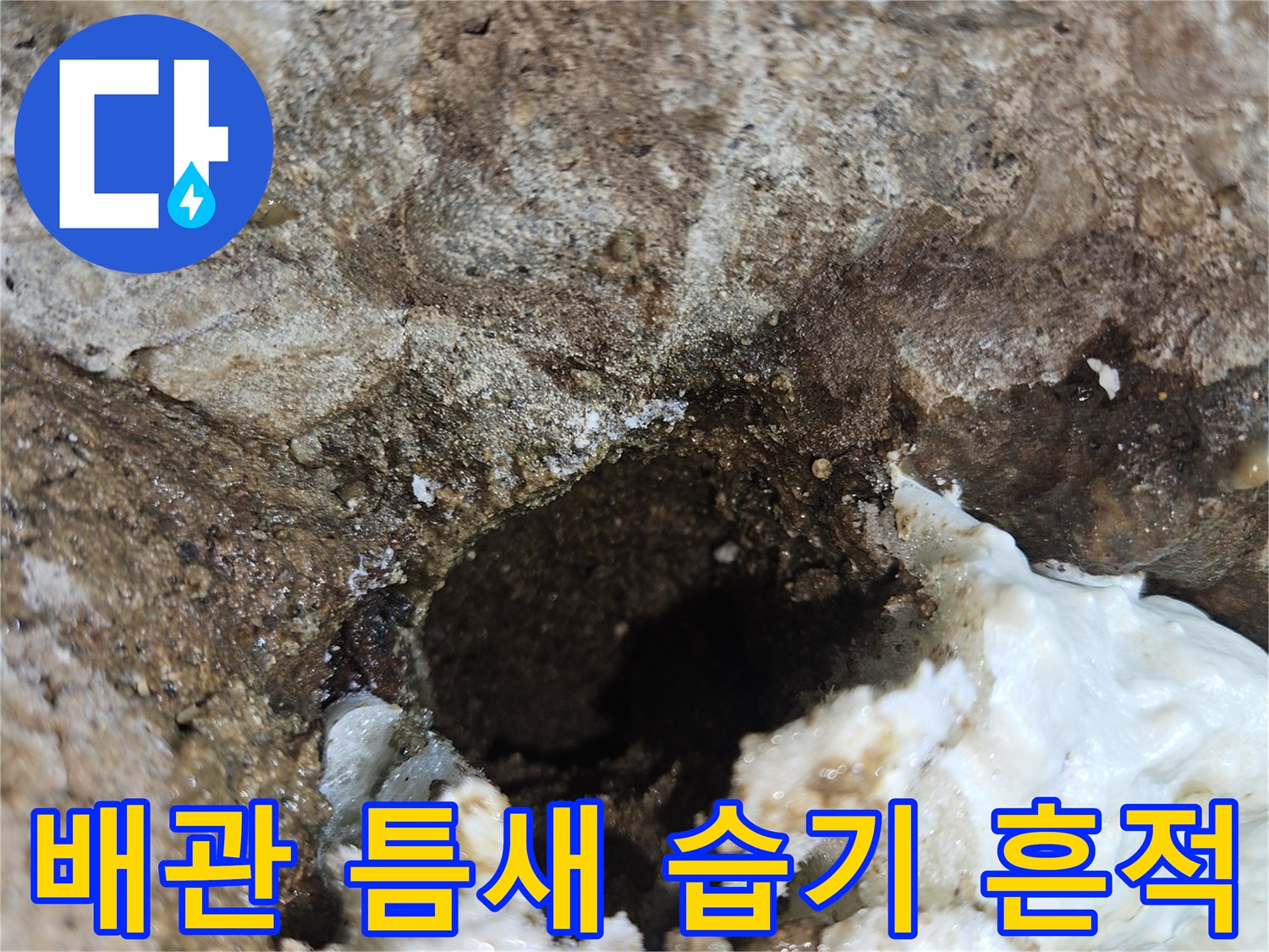 배관-주변-콘크리트-습기-및-물샘-상태