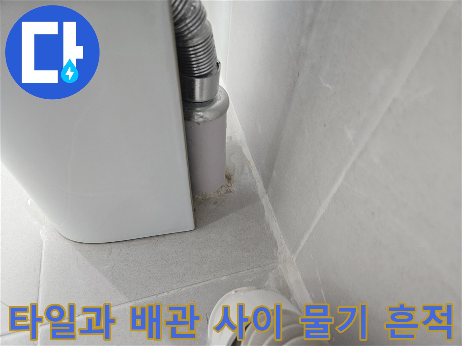 화장실-배수-배관-주변-물기-침투