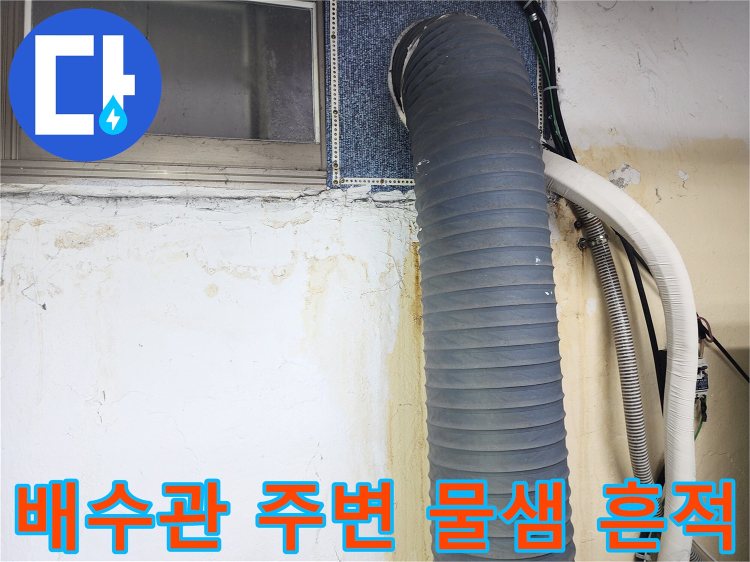 강동구 상가 건물-배수 호스 연결 부위의 습기 및 오염 상태