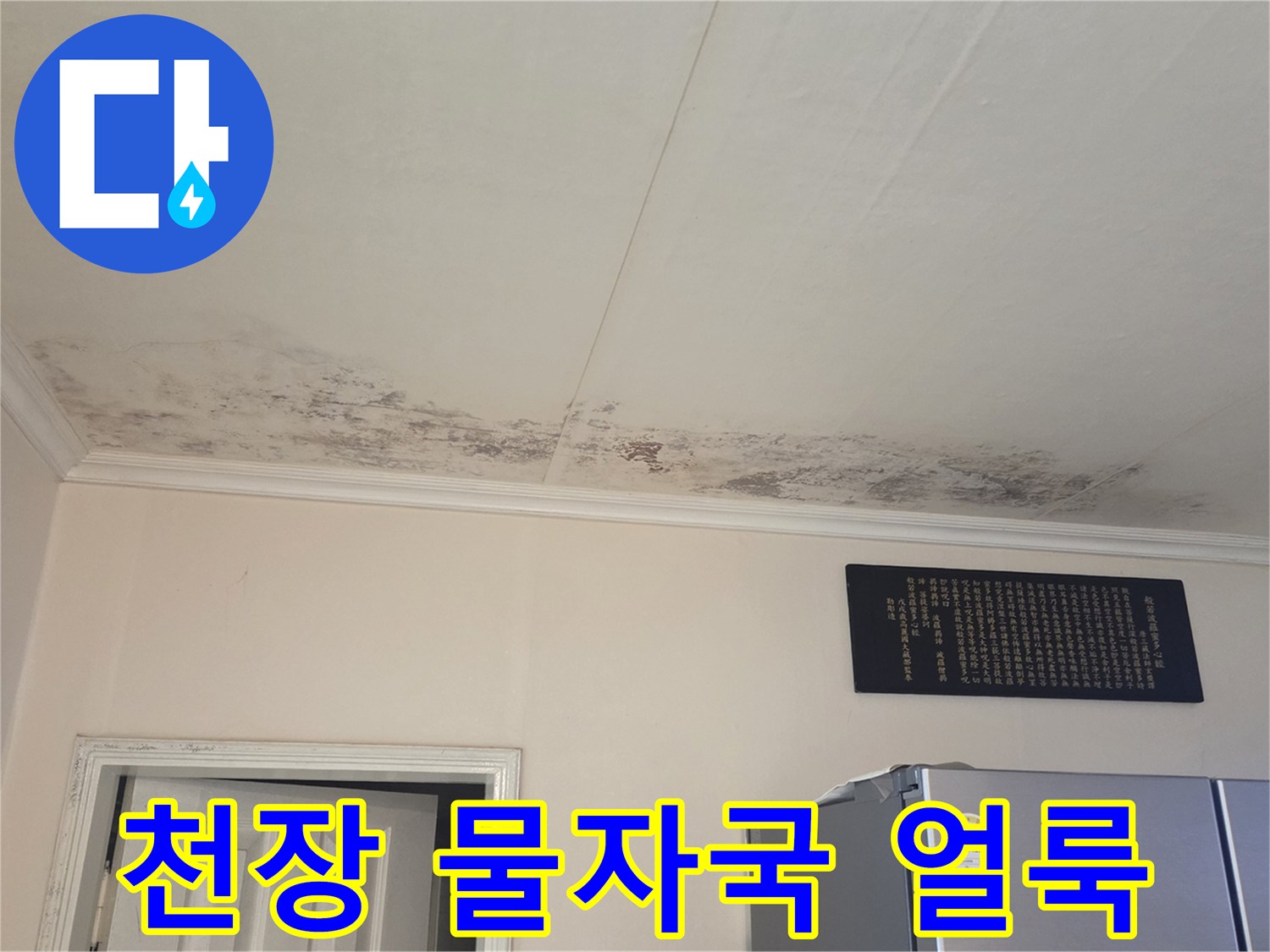 누수가 진행된 천장의 변색 및 곰팡이 발생 구간