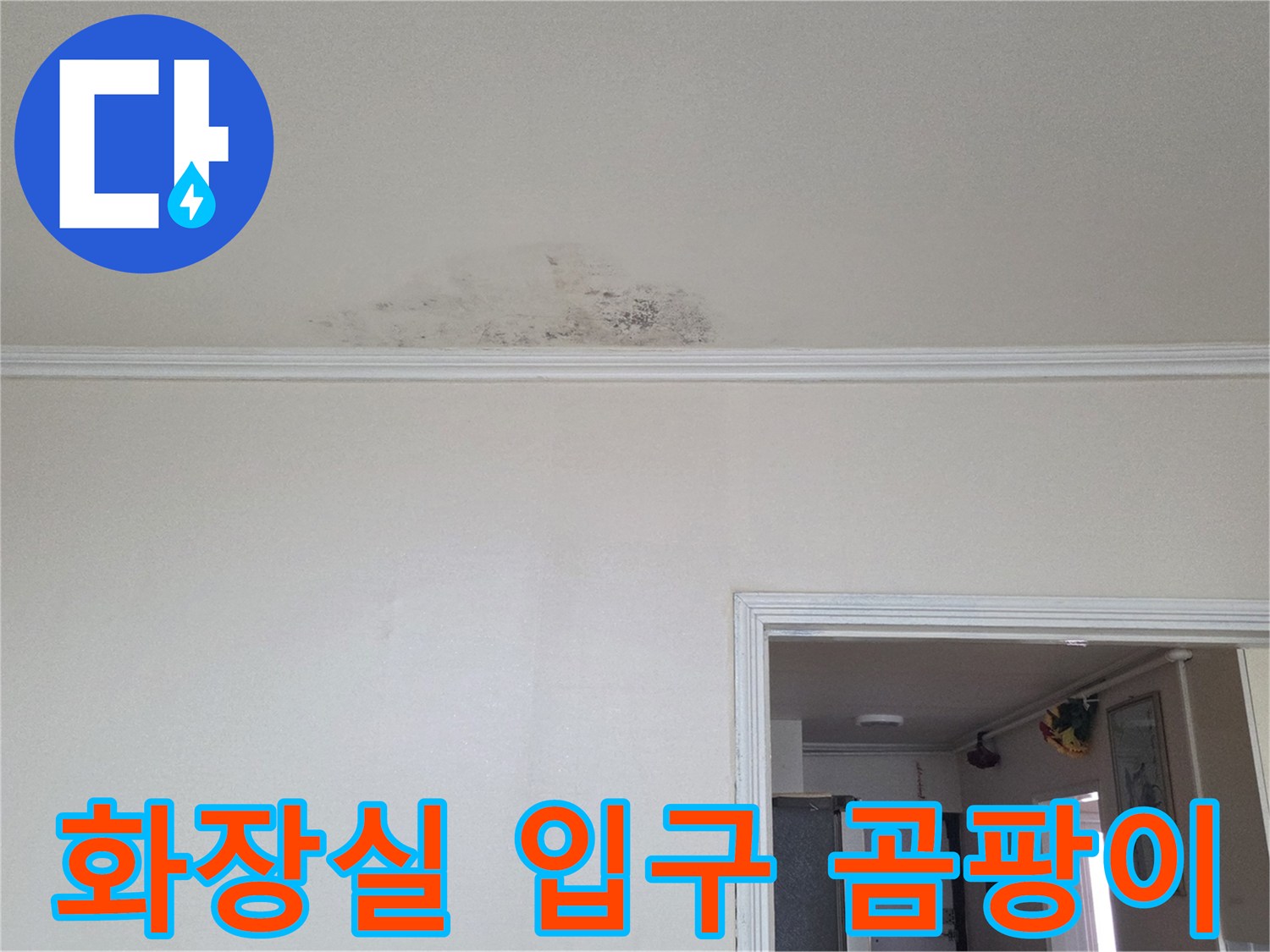 천장-몰딩-부근-곰팡이와-물자국
