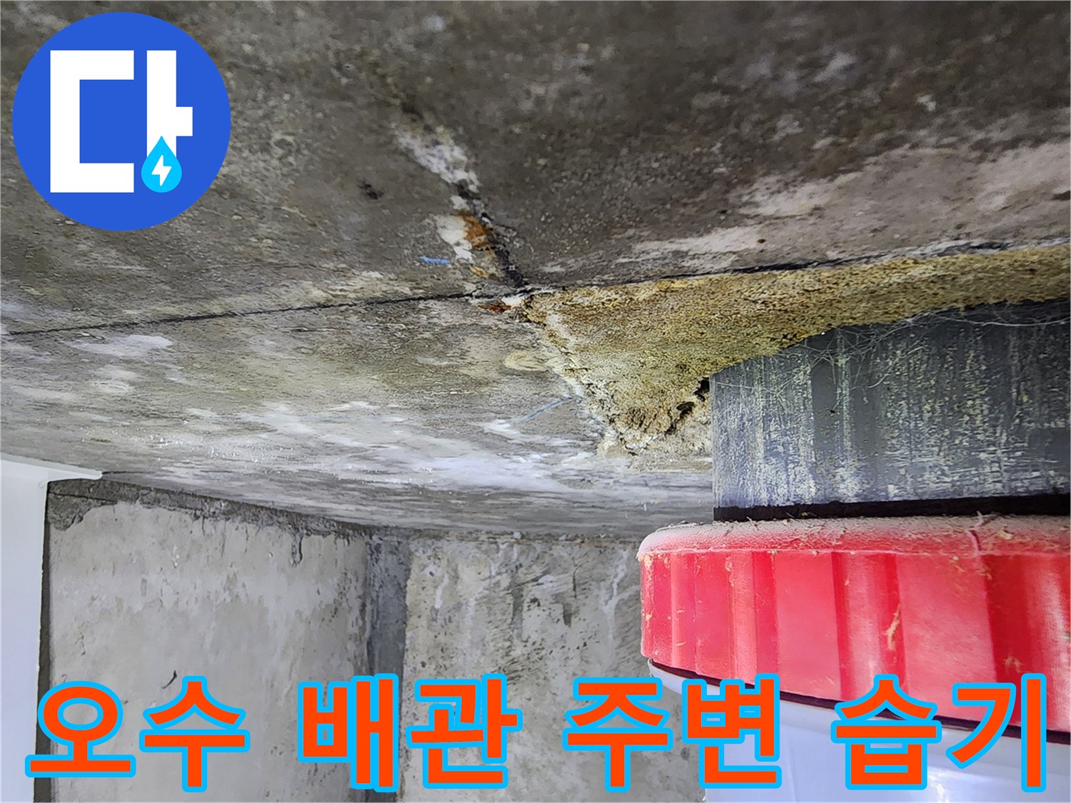 아랫집-천장-배관-틈새-침투-흔적