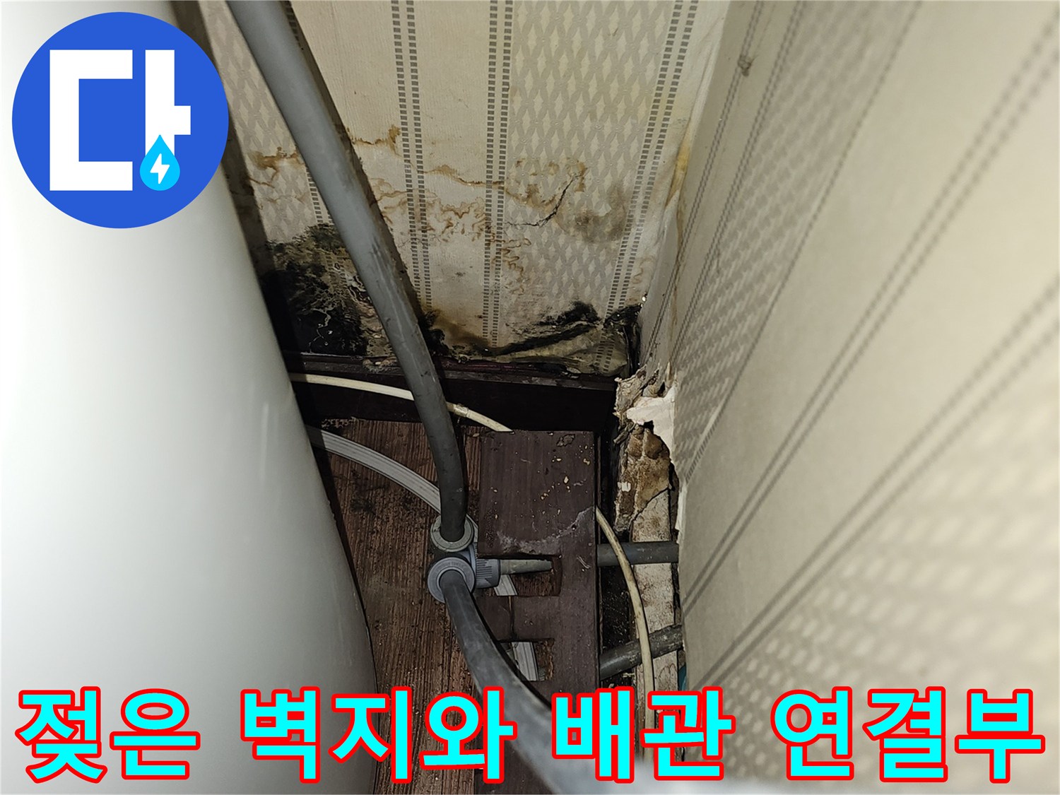 배관-연결부-주변-벽지-오염-상태