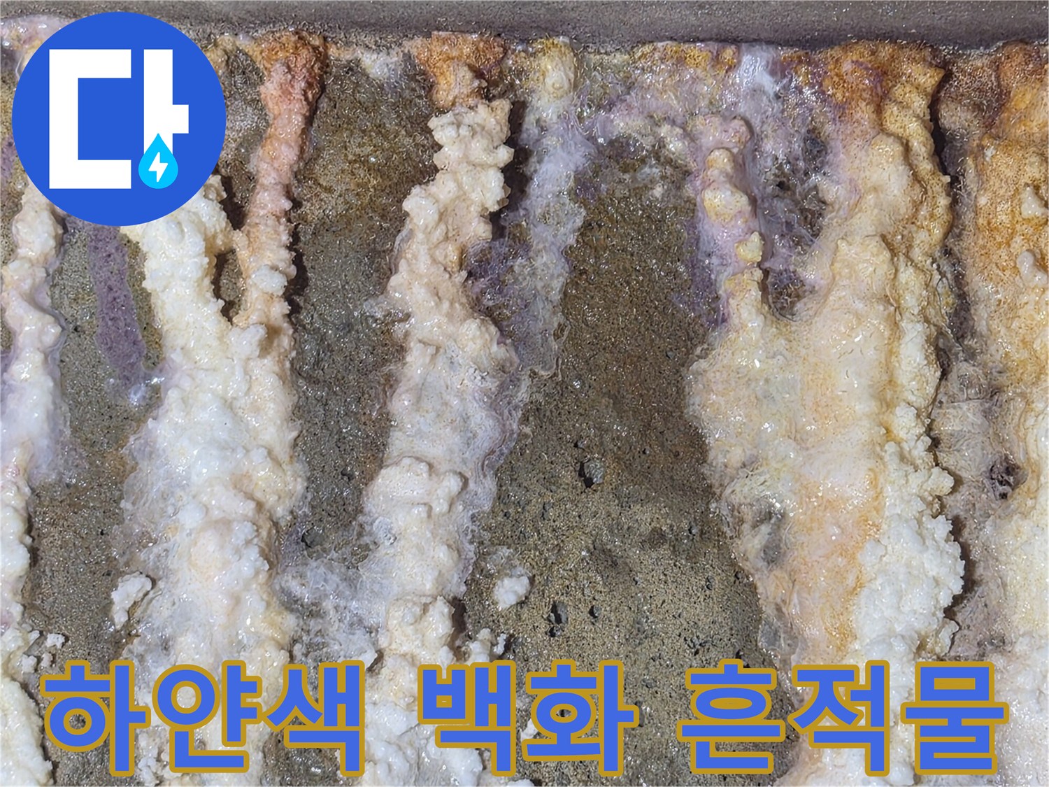 천장 배관 주변의 하얀 석회 침착 현상