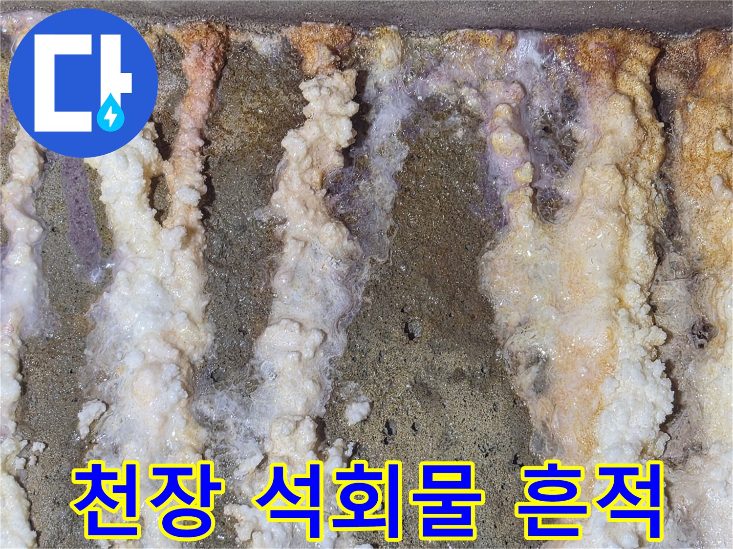 화장실-천장-배관-주변의-하얀-석회-퇴적물-현상