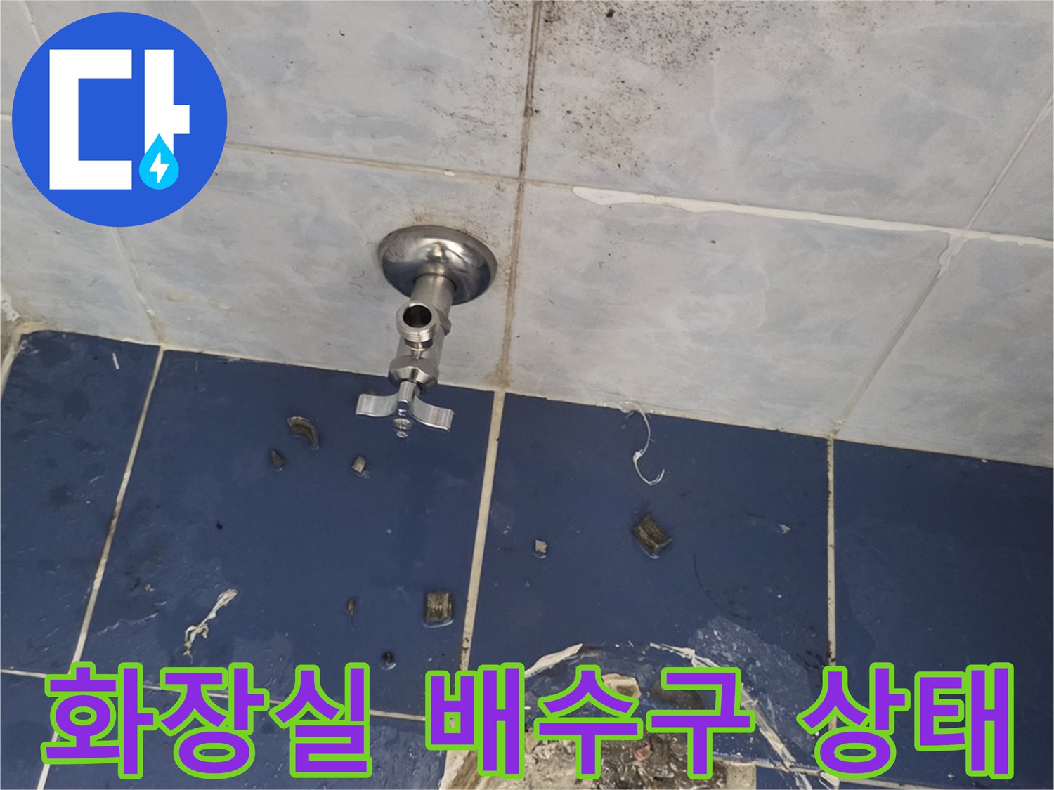 동두천-화장실-배수구-주변-오염-상태