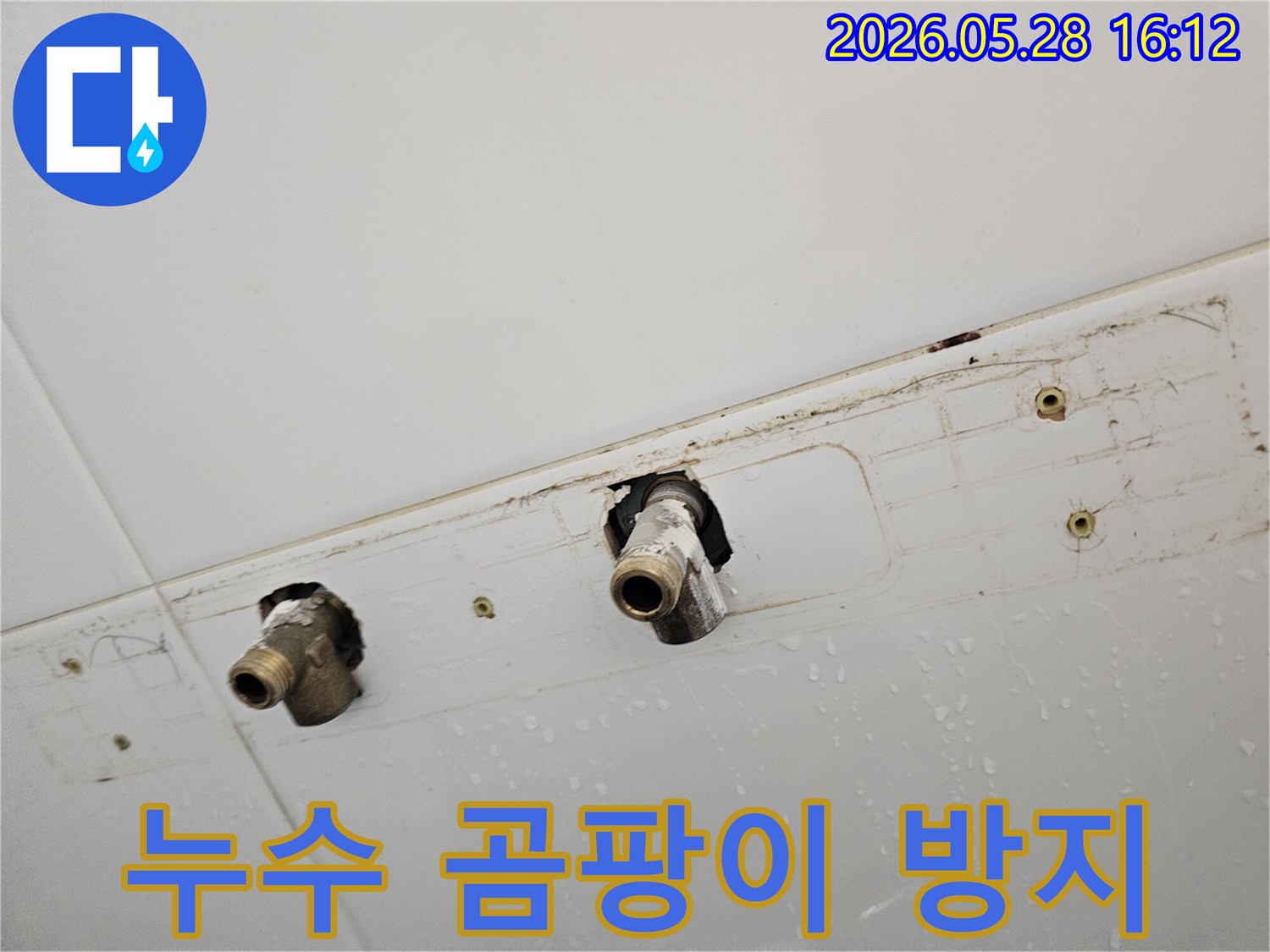 천장에서 물이 떨어져-배관 주변에 곰팡이가 생기기 전 신속한 조치가 필요합니다