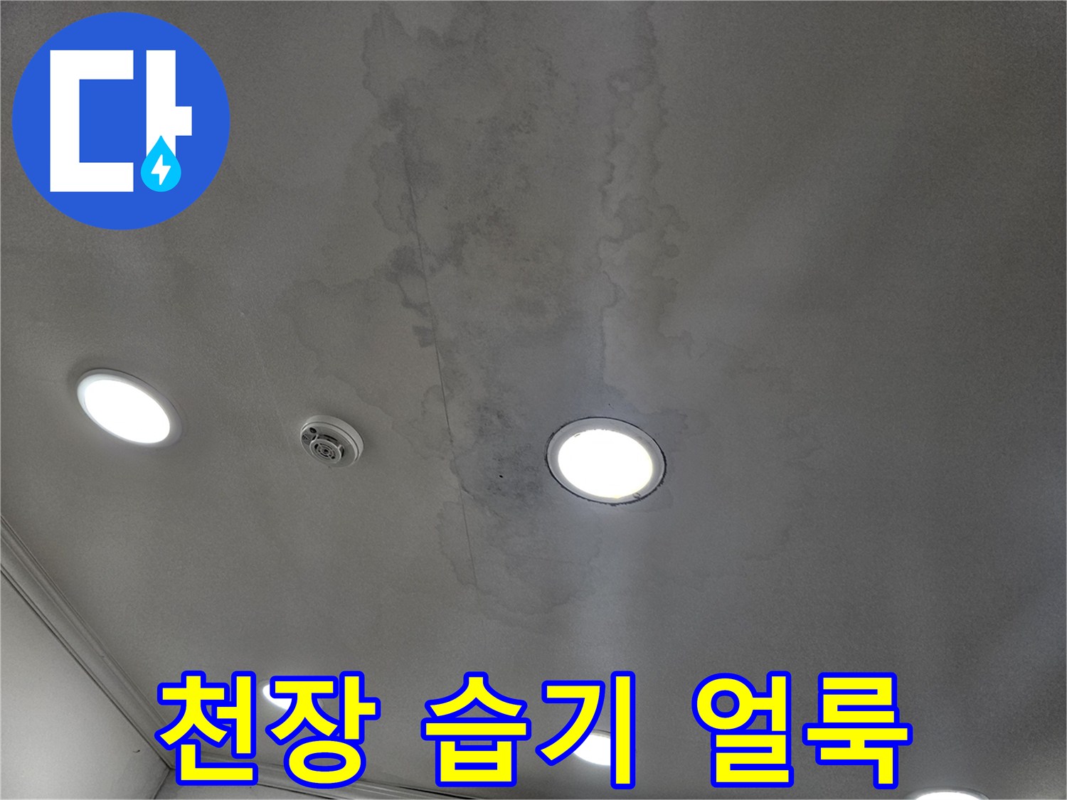 상가 매장 천장 마감재에 발생한 광범위한 물샘 흔적
