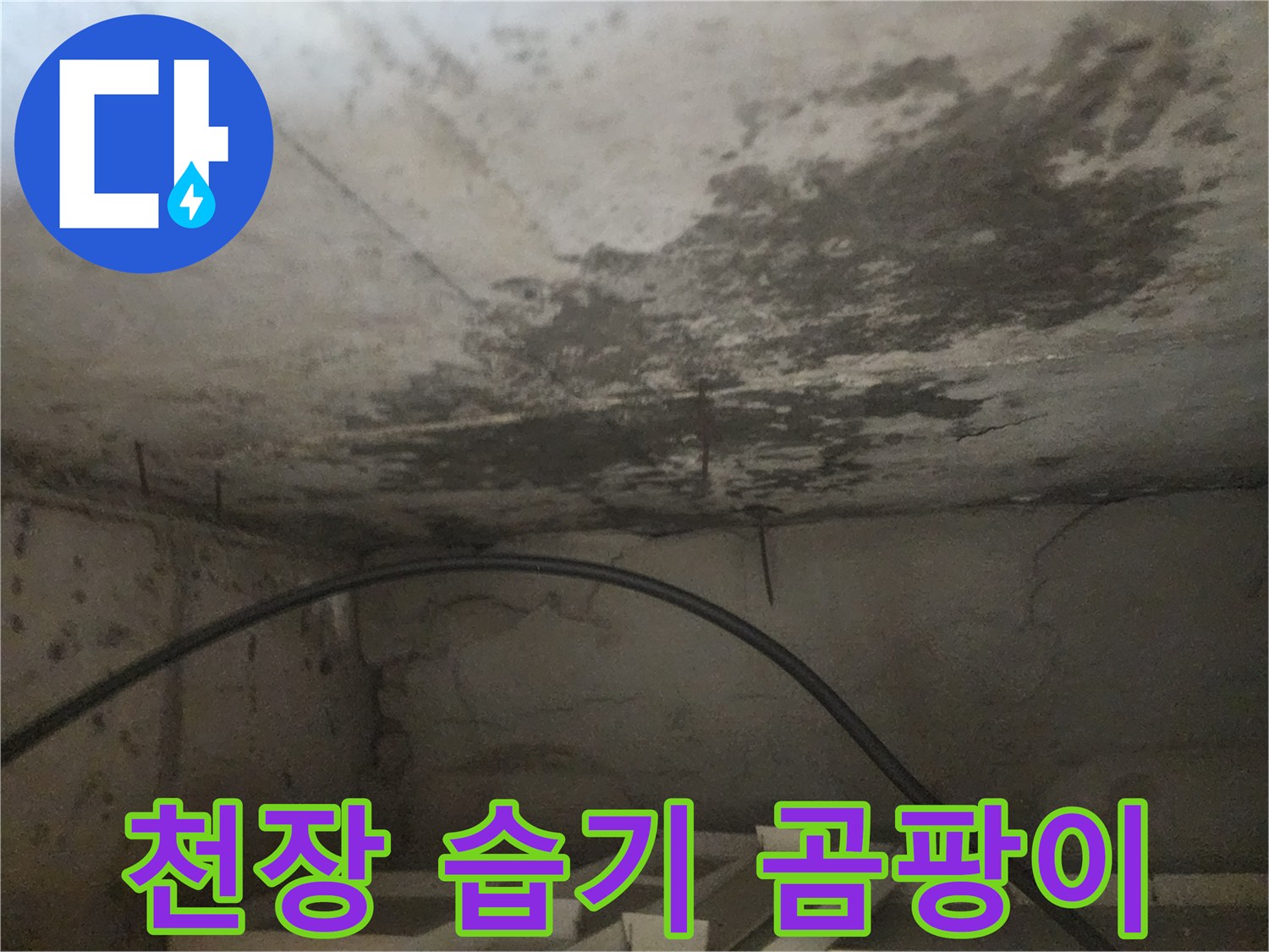 누수로 인해 천장 콘크리트에-습기가 차고 곰팡이가 발생한-심각한 현장 사진입니다.