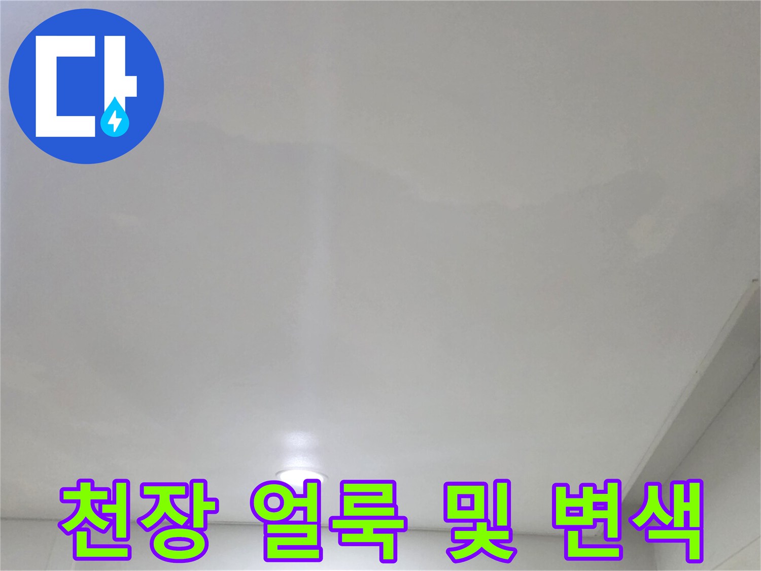 일산서구 아파트 거실-천장 벽지 변색 상태