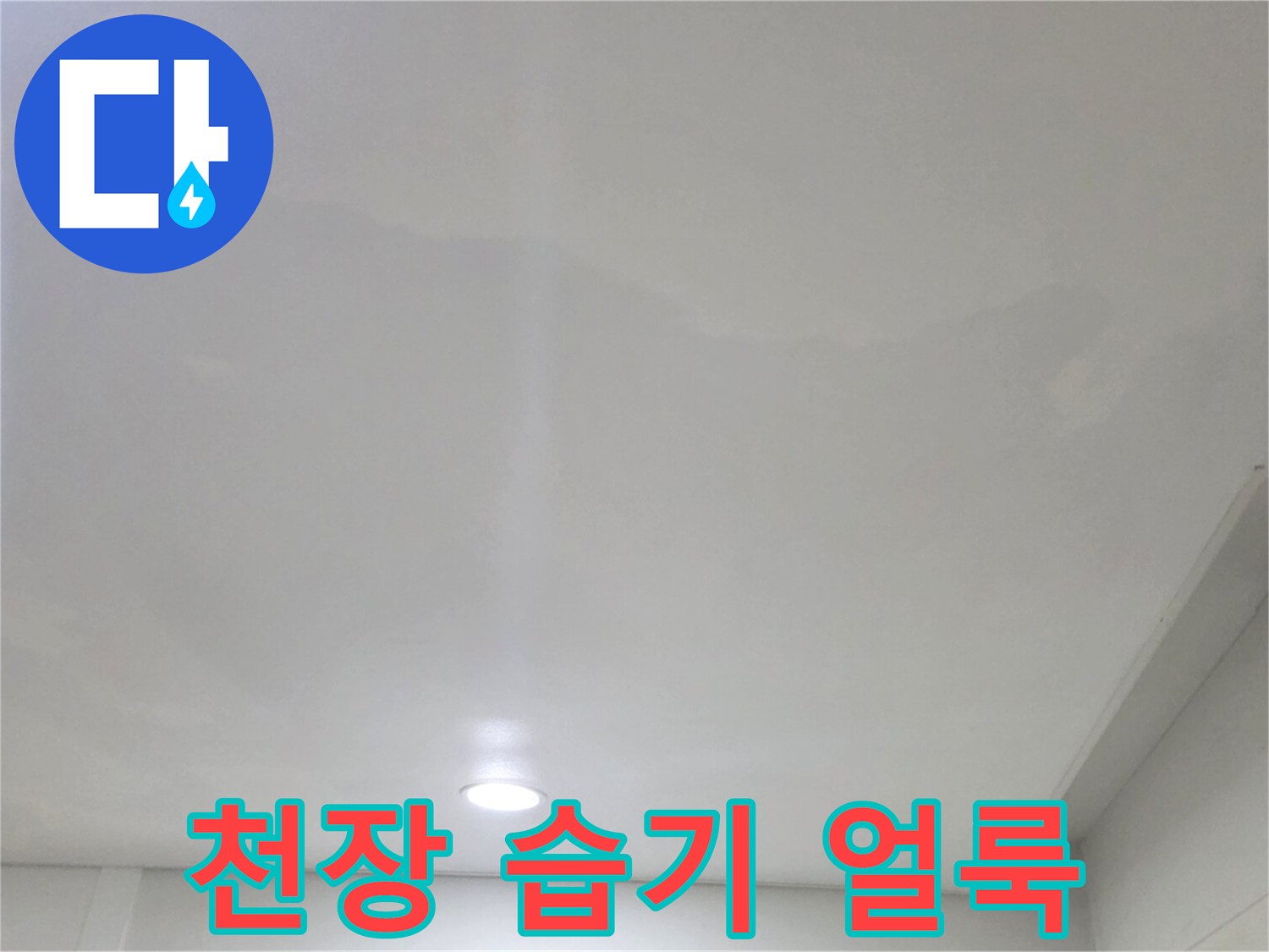 일산서구 아파트 거실 천장의 누수 변색 부위