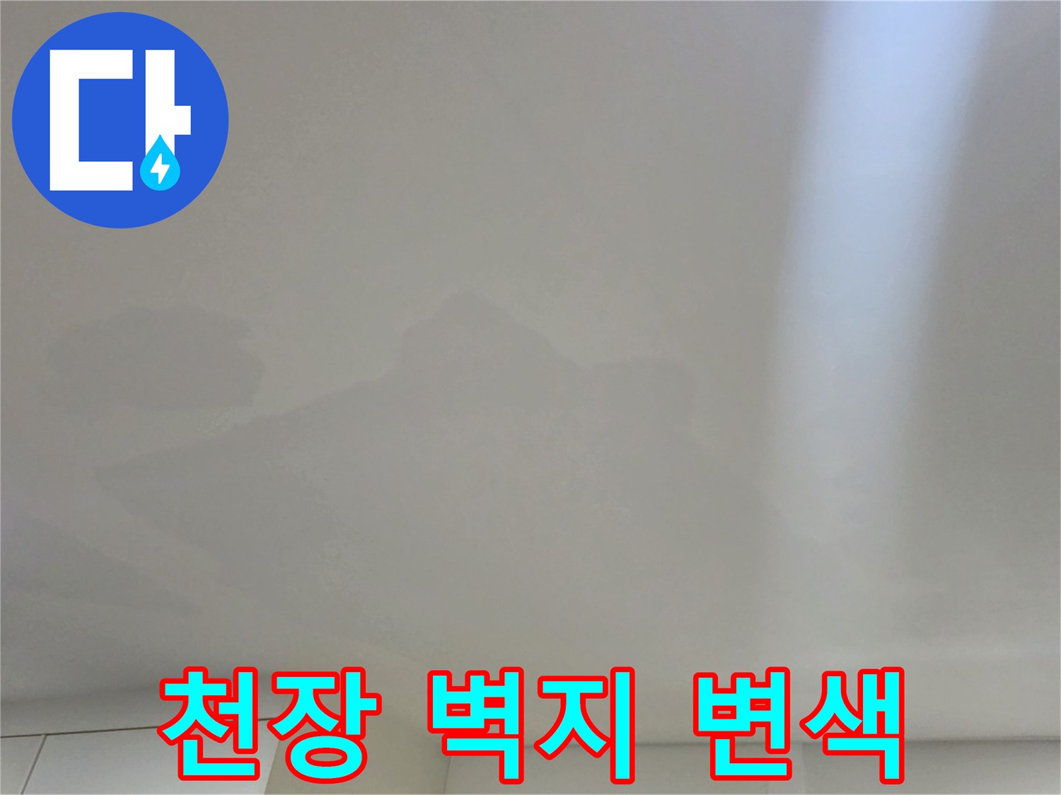 천장-벽지가-축축하게-젖어있는-상태