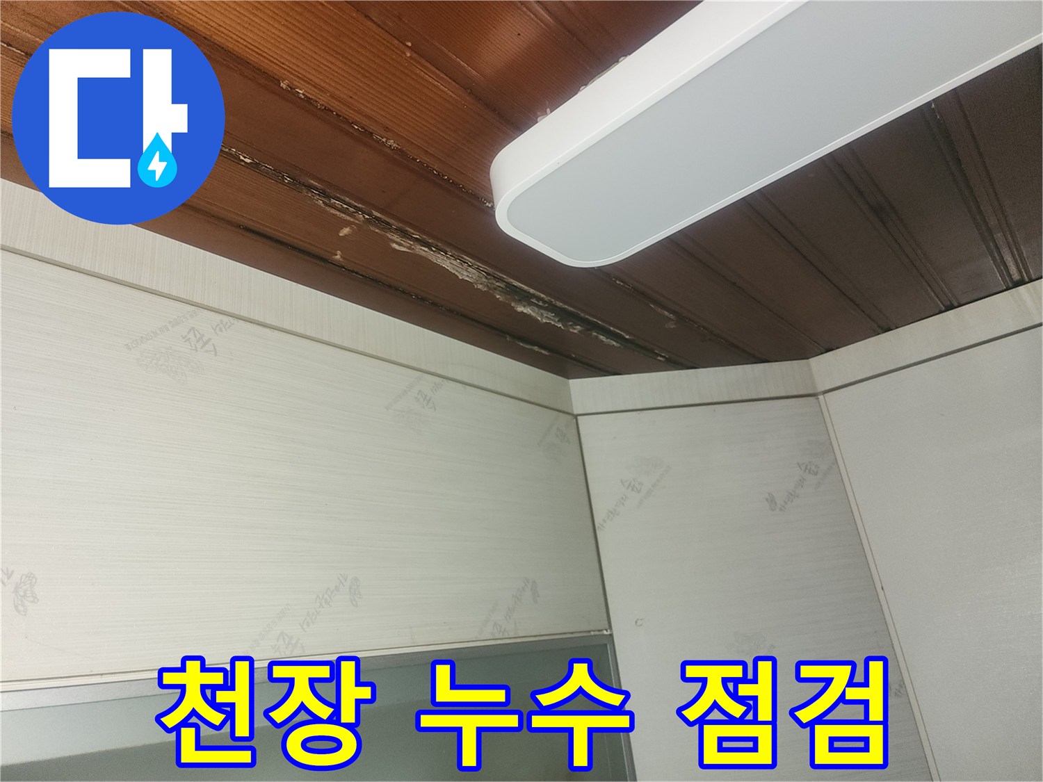 누수-전문가가-천장-누수-현장을-꼼꼼하게-조사하는-모습