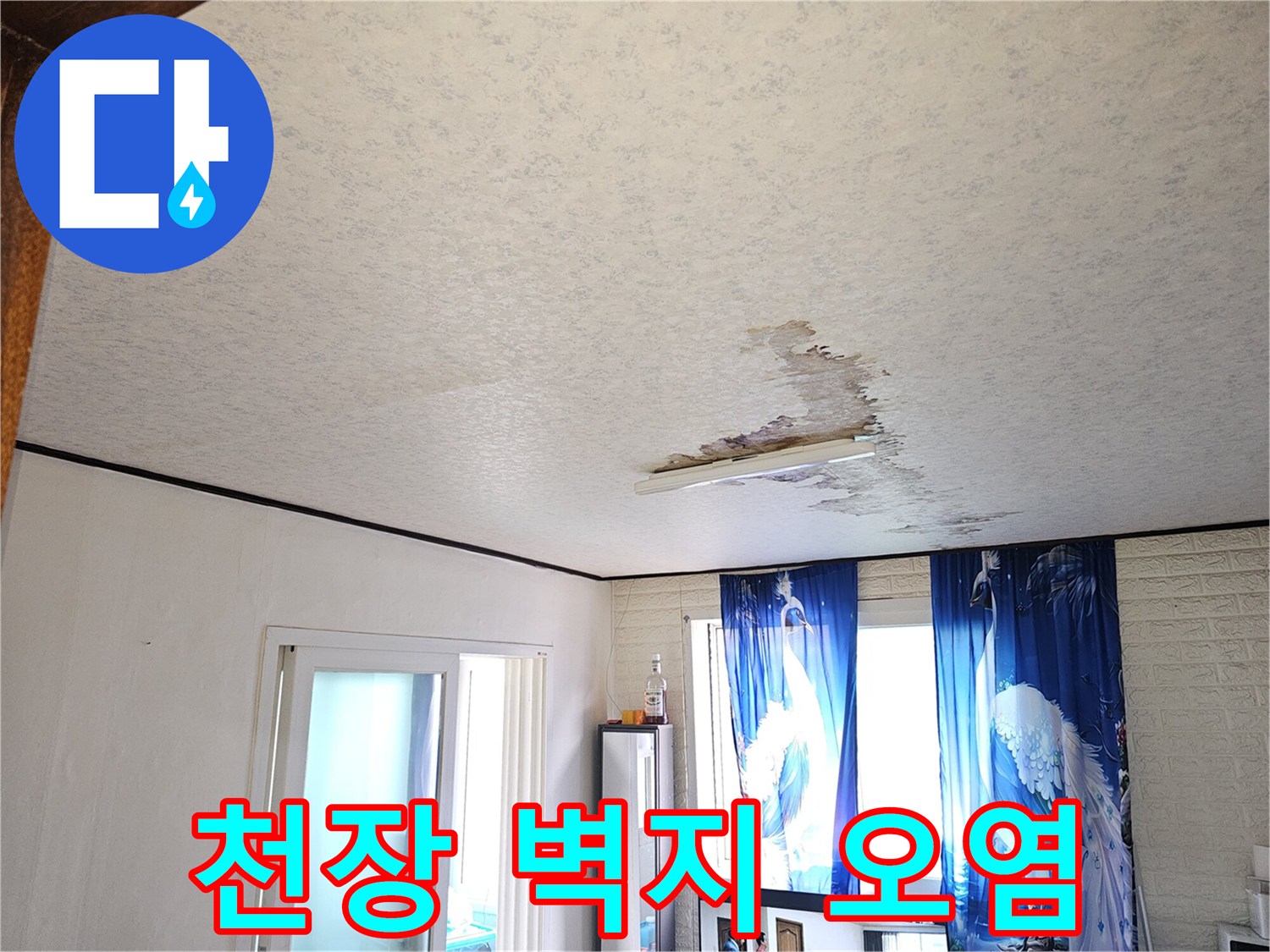 천장 벽면의 습기로 인한 변색 부위 촬영