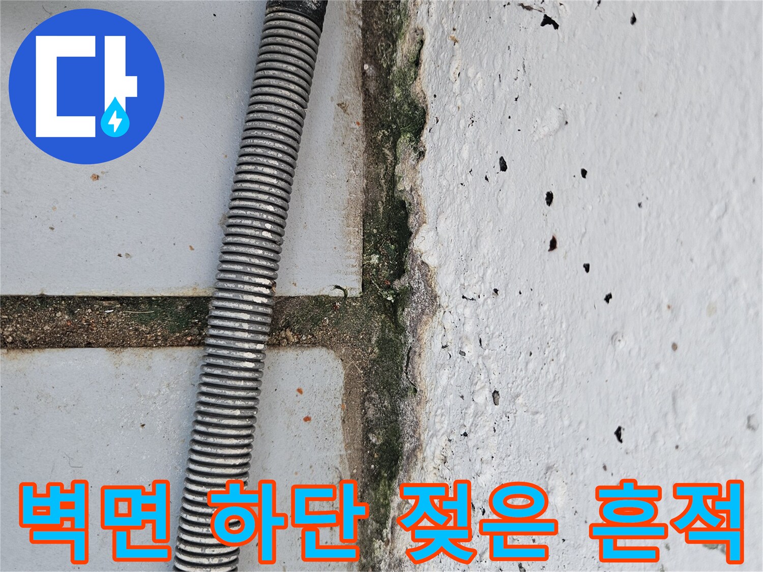 습기로 인해-부식되고 변색된 벽면 하단부
