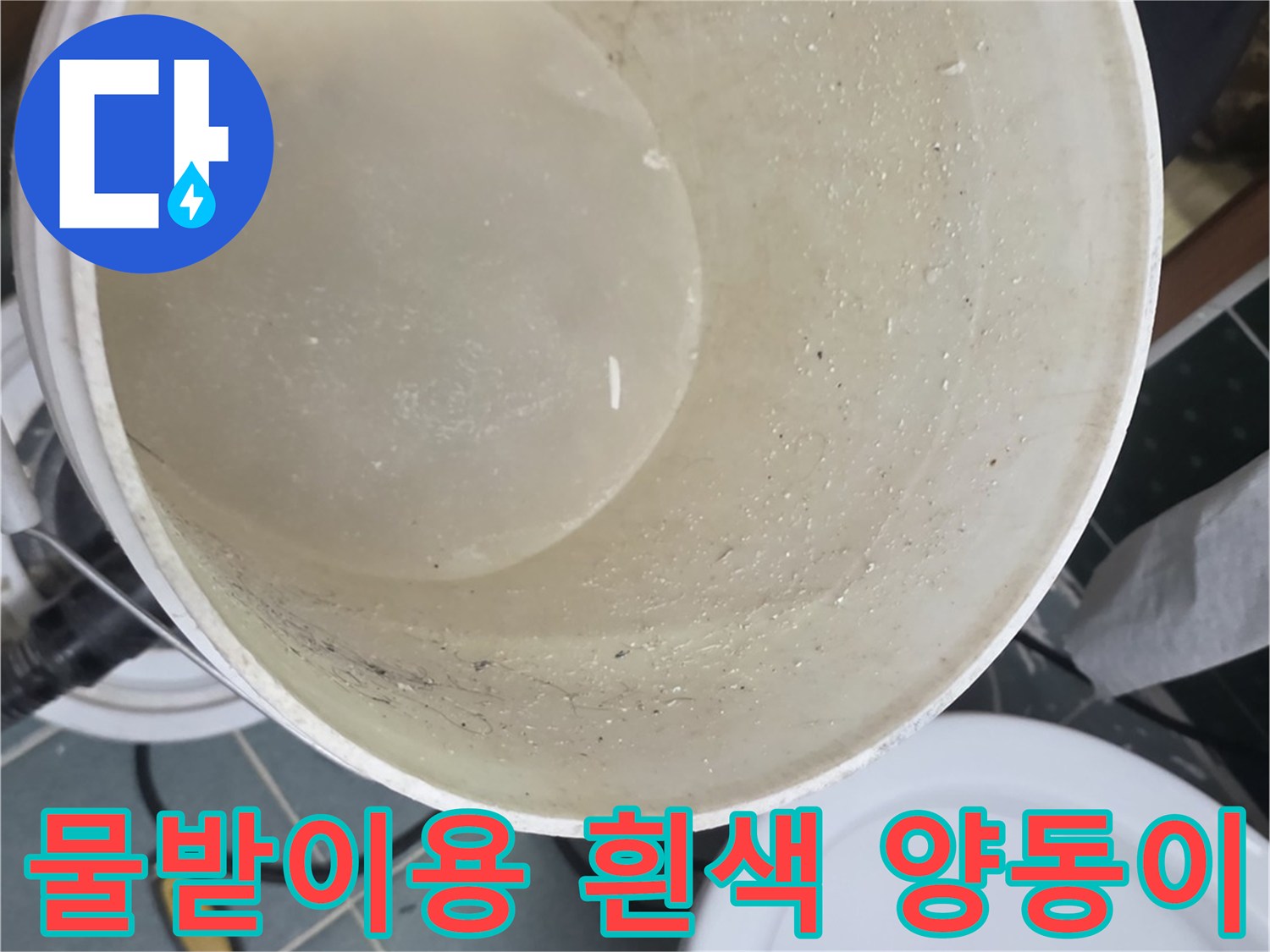 누수 지점 아래 배치된 깨끗한 흰색 양동이