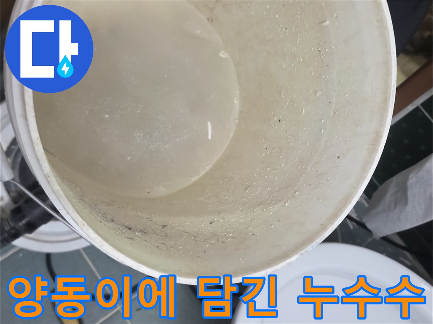 배관에서 떨어진 물을 담고 있는 양동이 사진