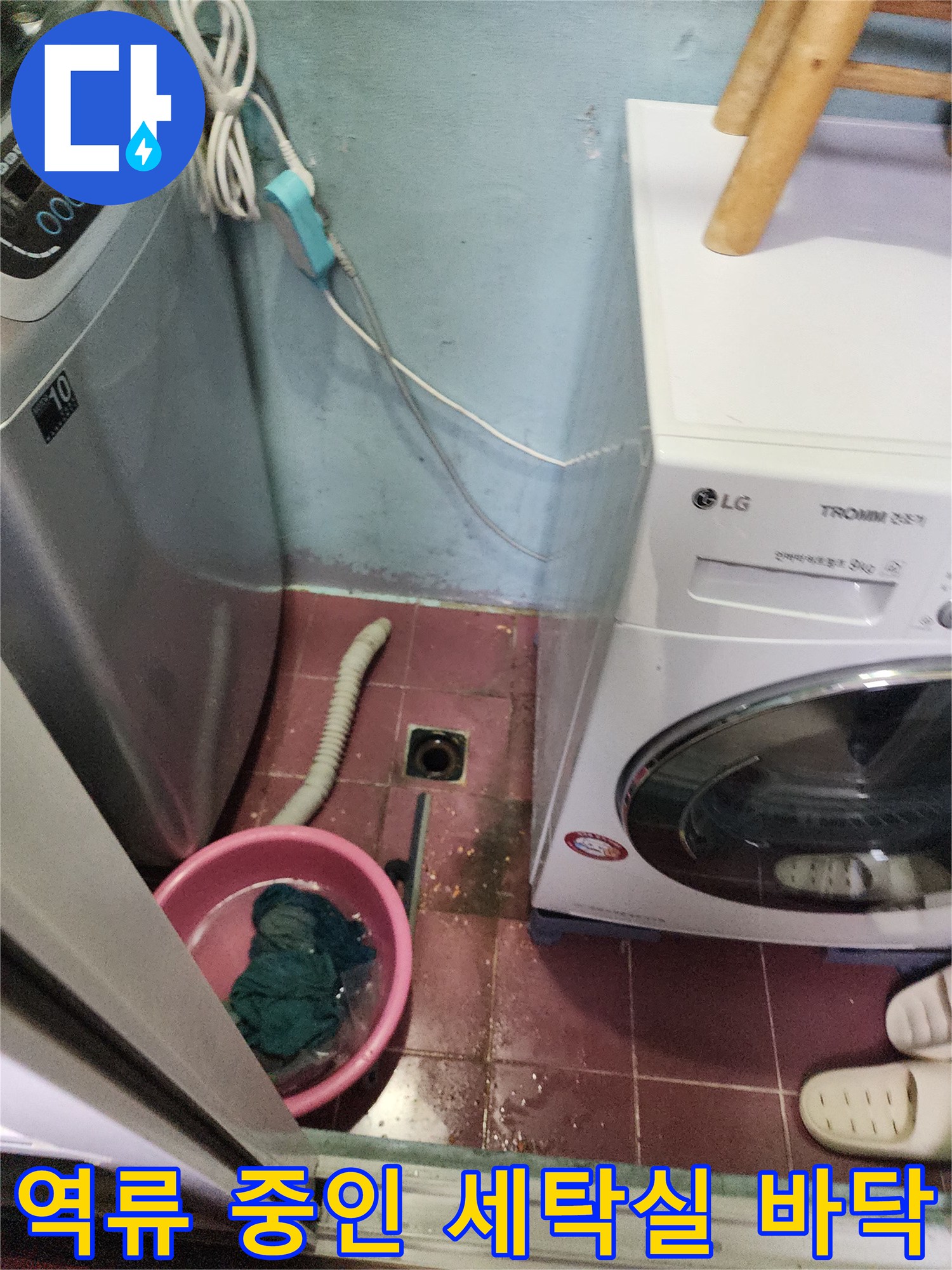 세탁기 배수 호스 주변의 역류된 물과 오물