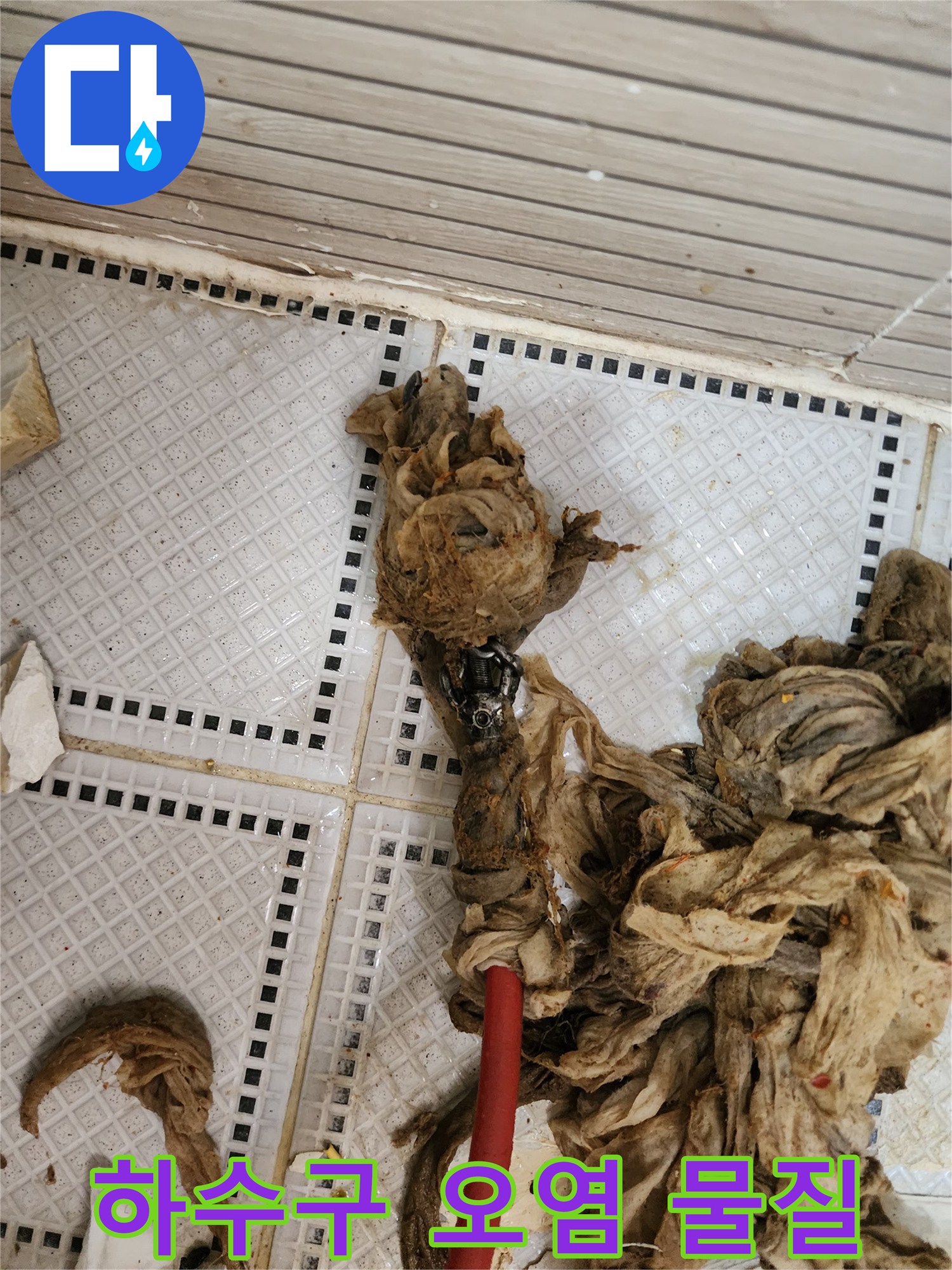 배수구-내부에서-끌어올린-머리카락과-섬유질의-뭉치