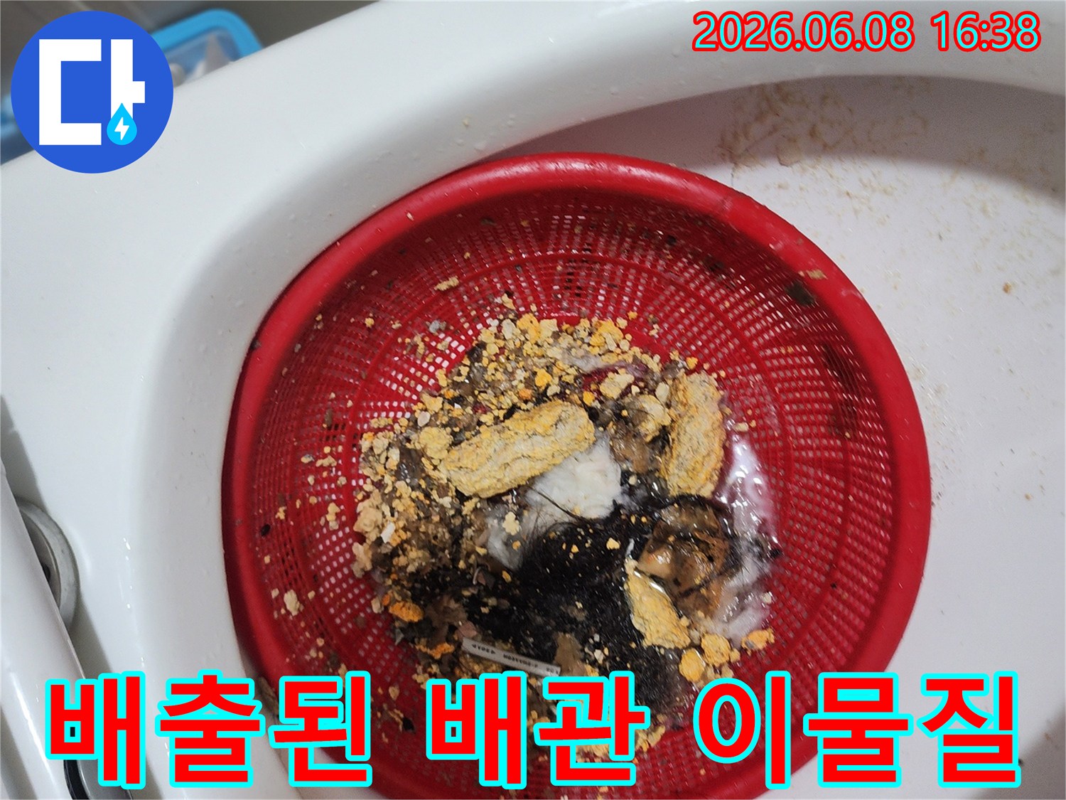 배수구 거름망에 모인 머리카락과 슬러지 찌꺼기